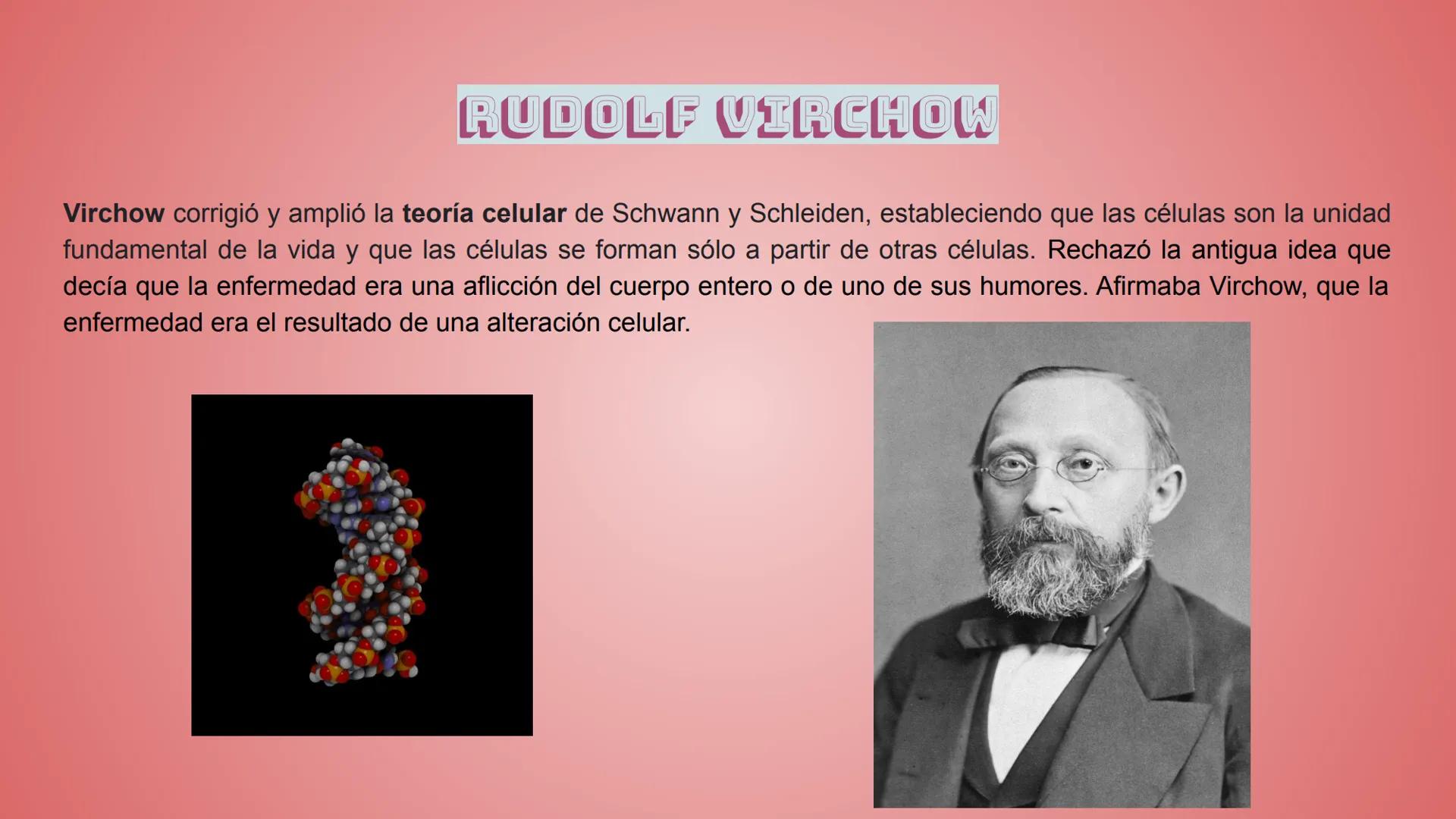 # Historia de la Teoría 05/Marzo/2020
# Celular
* Castillo Cruz Arely
* García Cervantes
Adriana Paola
* García Hernández
An
