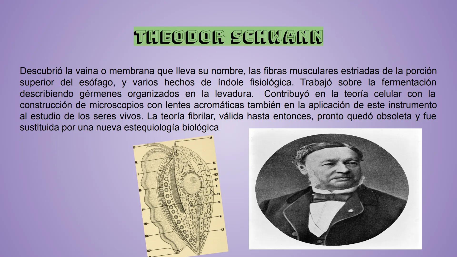 # Historia de la Teoría 05/Marzo/2020
# Celular
* Castillo Cruz Arely
* García Cervantes
Adriana Paola
* García Hernández
An