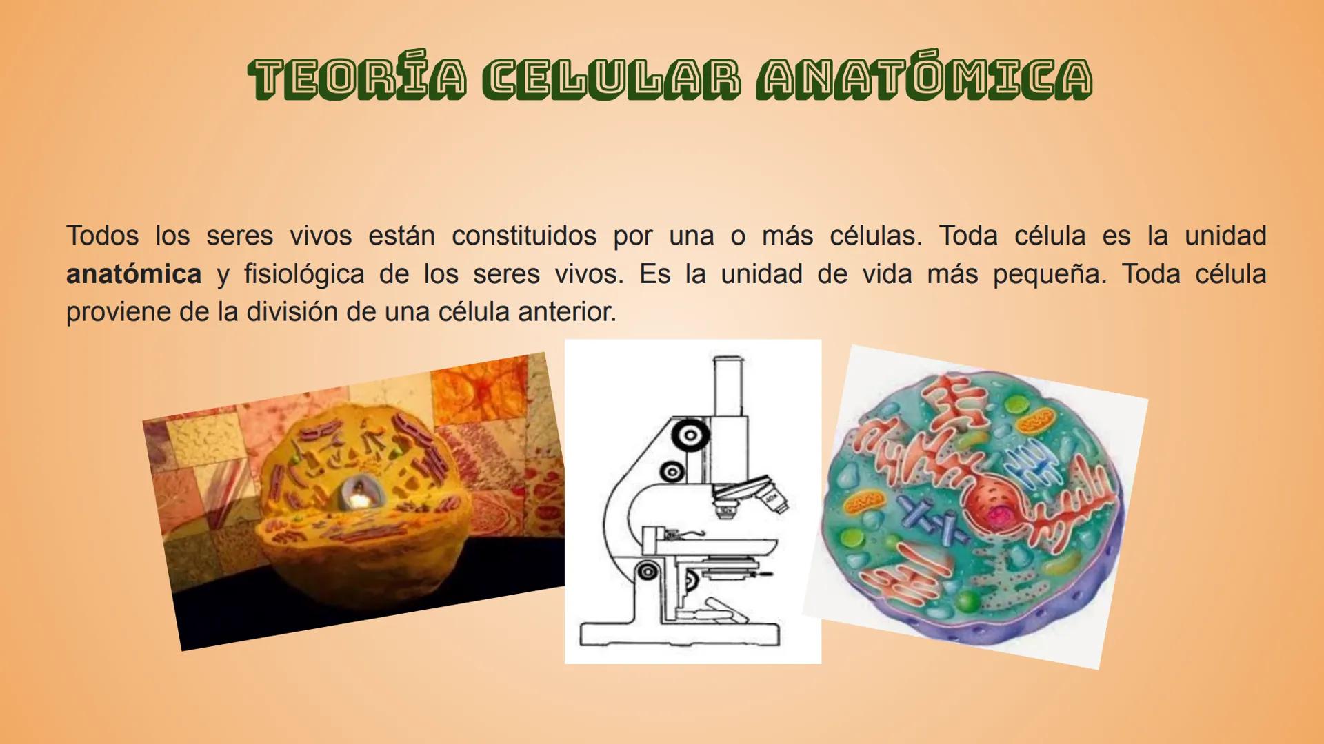 # Historia de la Teoría 05/Marzo/2020
# Celular
* Castillo Cruz Arely
* García Cervantes
Adriana Paola
* García Hernández
An