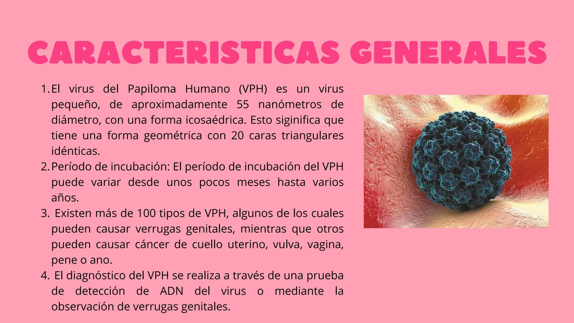 VPH
VIRUS DEL
PAPILOMA
HUMANO
☐ ¿QUÉ ES?
El Virus del Papiloma Humano (VPH) es un virus
de transmisión sexual que contiene ADN y que
infecta