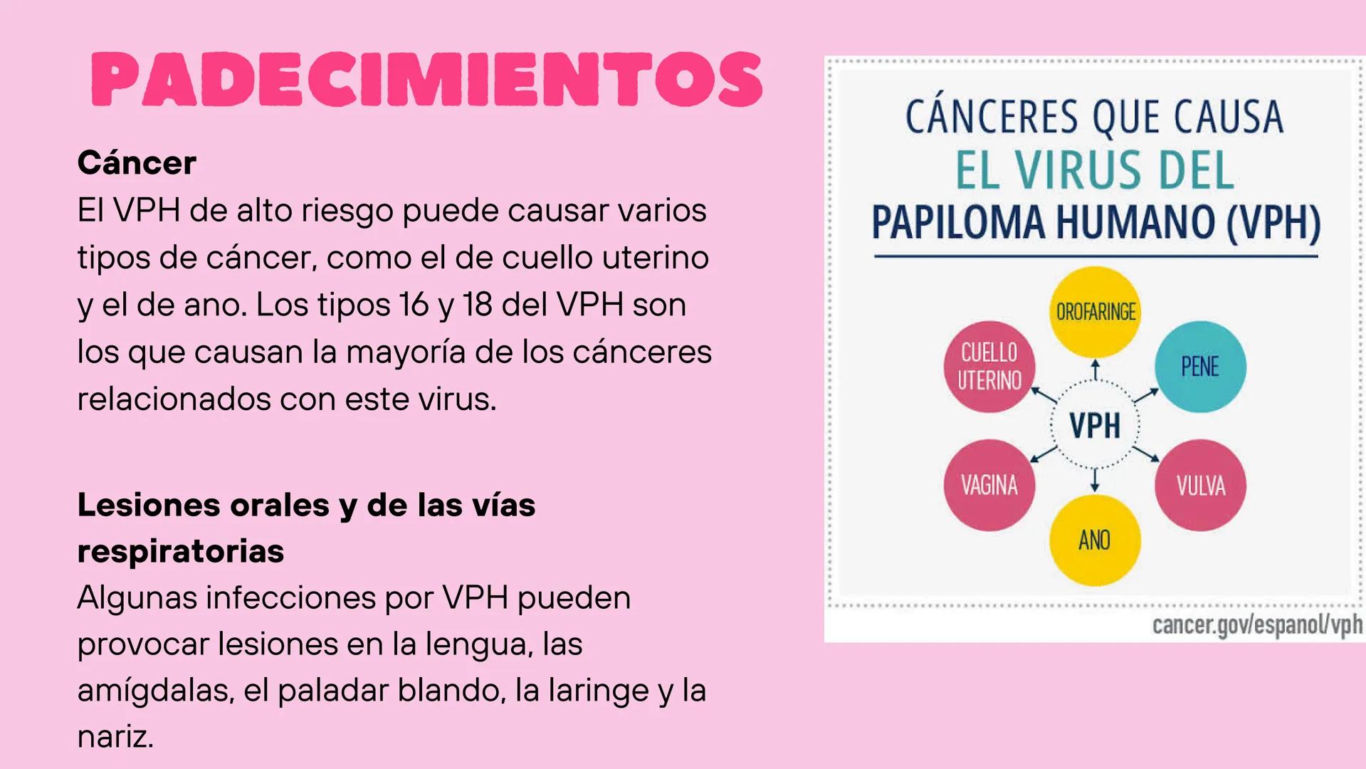 VPH
VIRUS DEL
PAPILOMA
HUMANO
☐ ¿QUÉ ES?
El Virus del Papiloma Humano (VPH) es un virus
de transmisión sexual que contiene ADN y que
infecta