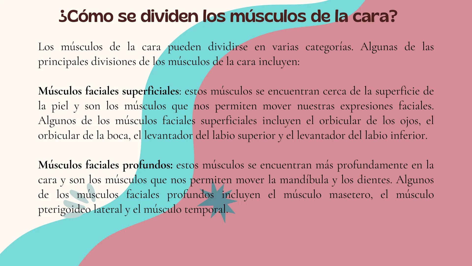Musculos de la
Expresión
1 Los músculos faciales o de la expresión
(también llamados mimicos) son de
varias maneras, únicos entre los
múscul