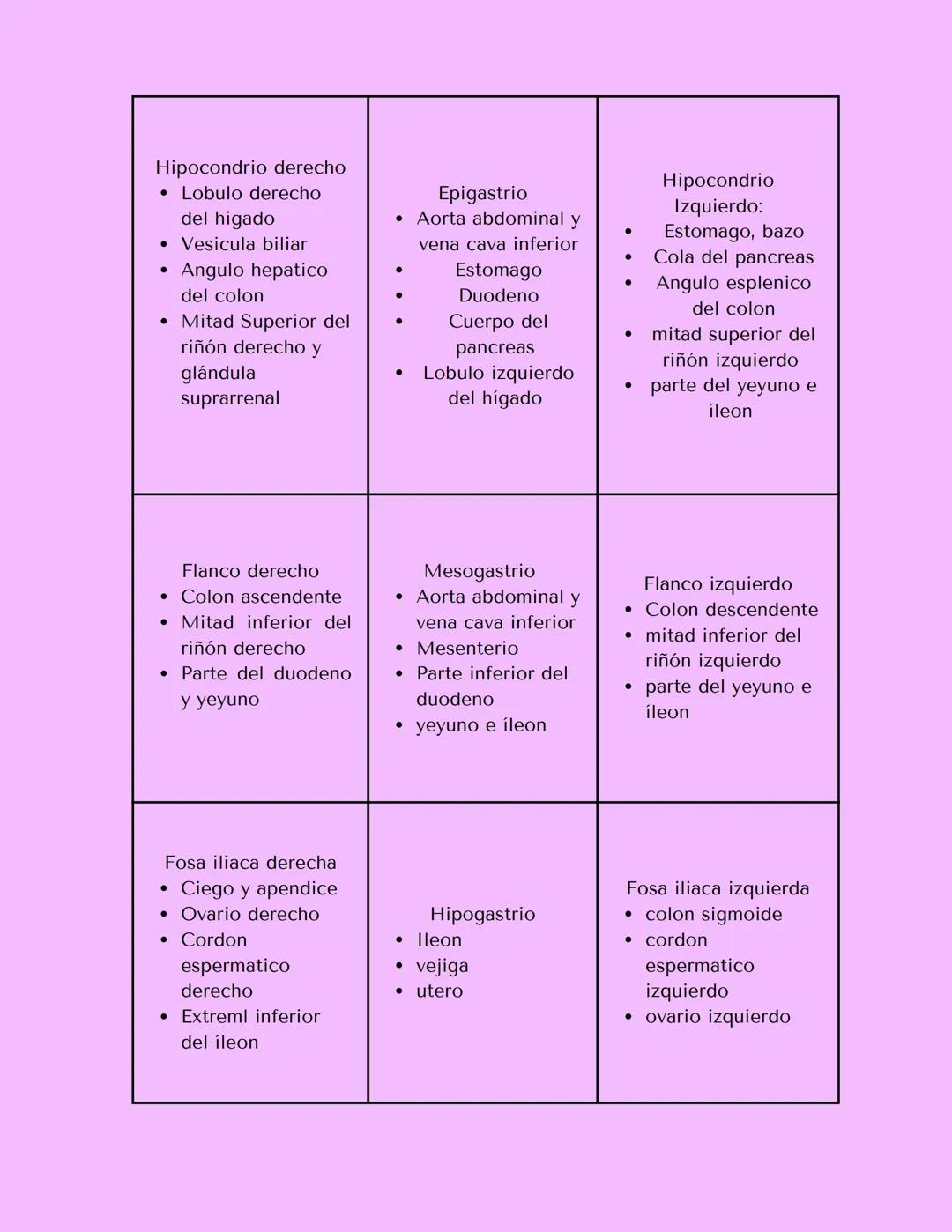REGIONES
# Abdominales
Epigastrio
Hipocondrio
derecho
1
2
3
Hipocondrio
izquierdo
A
Mesogastrio
Flanco derecho
4
5
6
Flanco izquierdo
B
7
Fo
