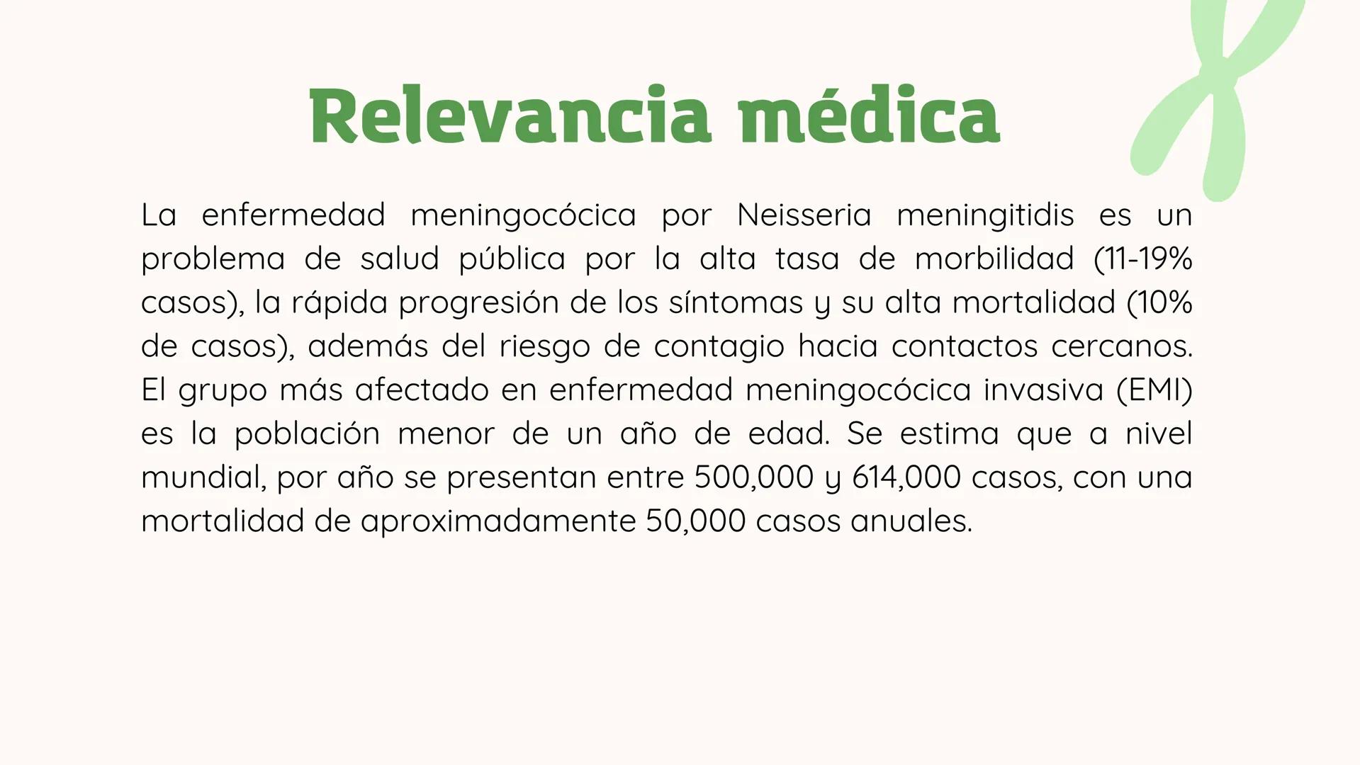 *
11
11
NEISERIA GONORROHOE -
NEISSERIA MENINGITIDIS
かか
XX
XX
X
XX
<
00 ## ¿QUÉ ES?
00
### Neisseria gonorrohooe
La gonorrea es