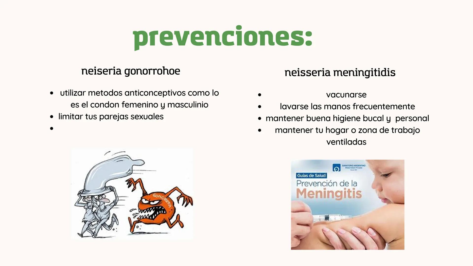 *
11
11
NEISERIA GONORROHOE -
NEISSERIA MENINGITIDIS
かか
XX
XX
X
XX
<
00 ## ¿QUÉ ES?
00
### Neisseria gonorrohooe
La gonorrea es