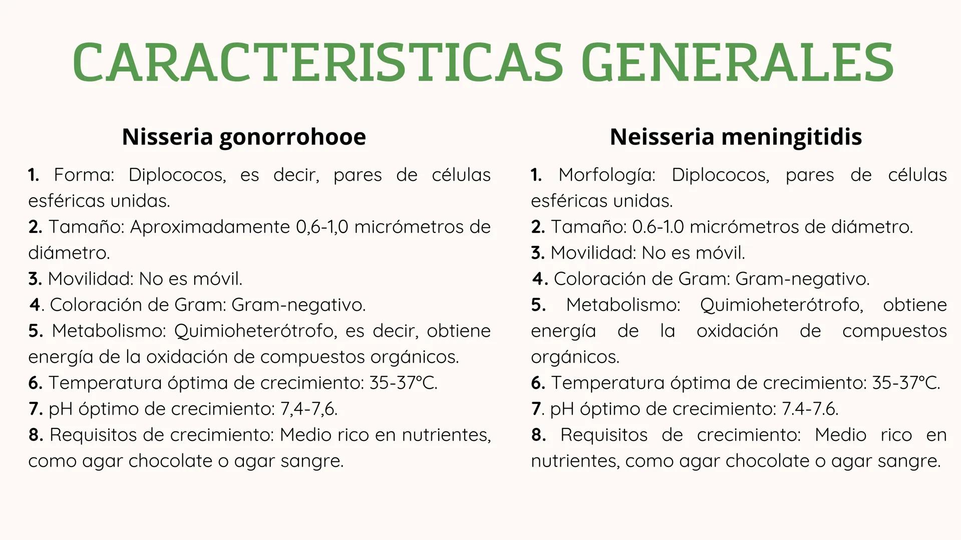 *
11
11
NEISERIA GONORROHOE -
NEISSERIA MENINGITIDIS
かか
XX
XX
X
XX
<
00 ## ¿QUÉ ES?
00
### Neisseria gonorrohooe
La gonorrea es