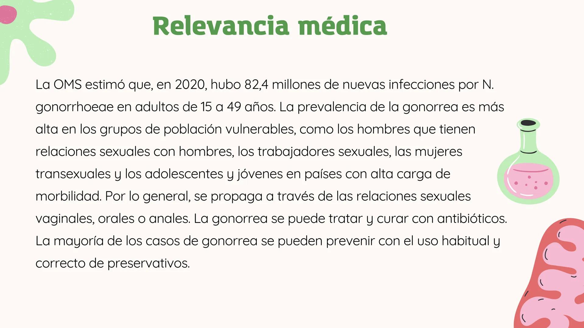 *
11
11
NEISERIA GONORROHOE -
NEISSERIA MENINGITIDIS
かか
XX
XX
X
XX
<
00 ## ¿QUÉ ES?
00
### Neisseria gonorrohooe
La gonorrea es