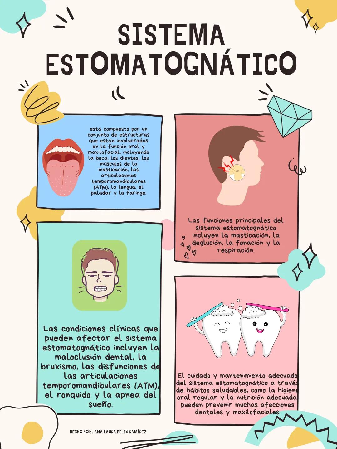 # SISTEMA
ESTOMATOGNÁTICO
está compuesto por un
conjunto de estructuras
que están involucradas
en la función oral y
maxilofacial, incluyend