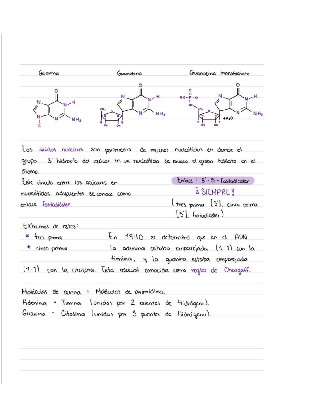 # Acidos Nucleicos
ADN Acido desoxiribonucleico (Cadenas muy largas; millones de nucleotidos unidos).
ARN-Acido vibonucleico (Cadenas pequ
