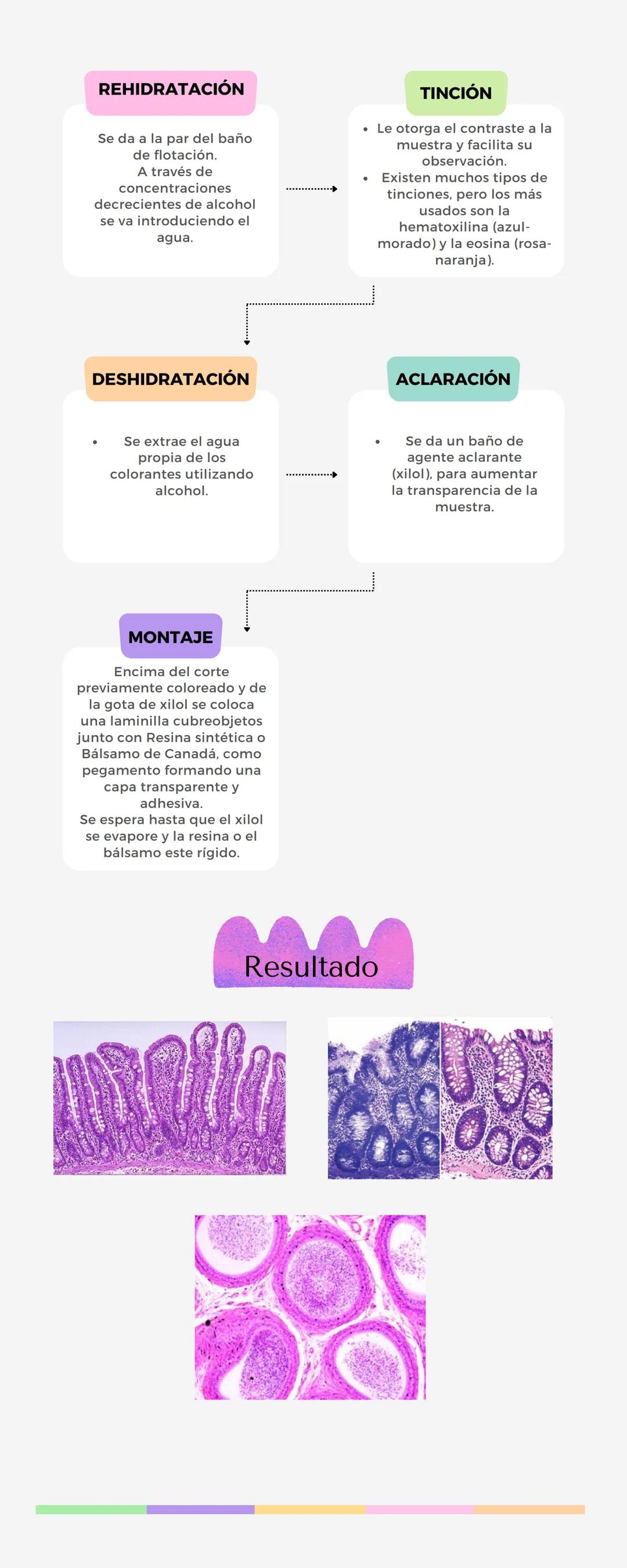# Técnica histológica
ordinaria
OBTENCIÓN
DE MUESTRA
1. Procedencia del tejido
(biopsia o necropsia).
2. Cantidad de tejido
(insicional y