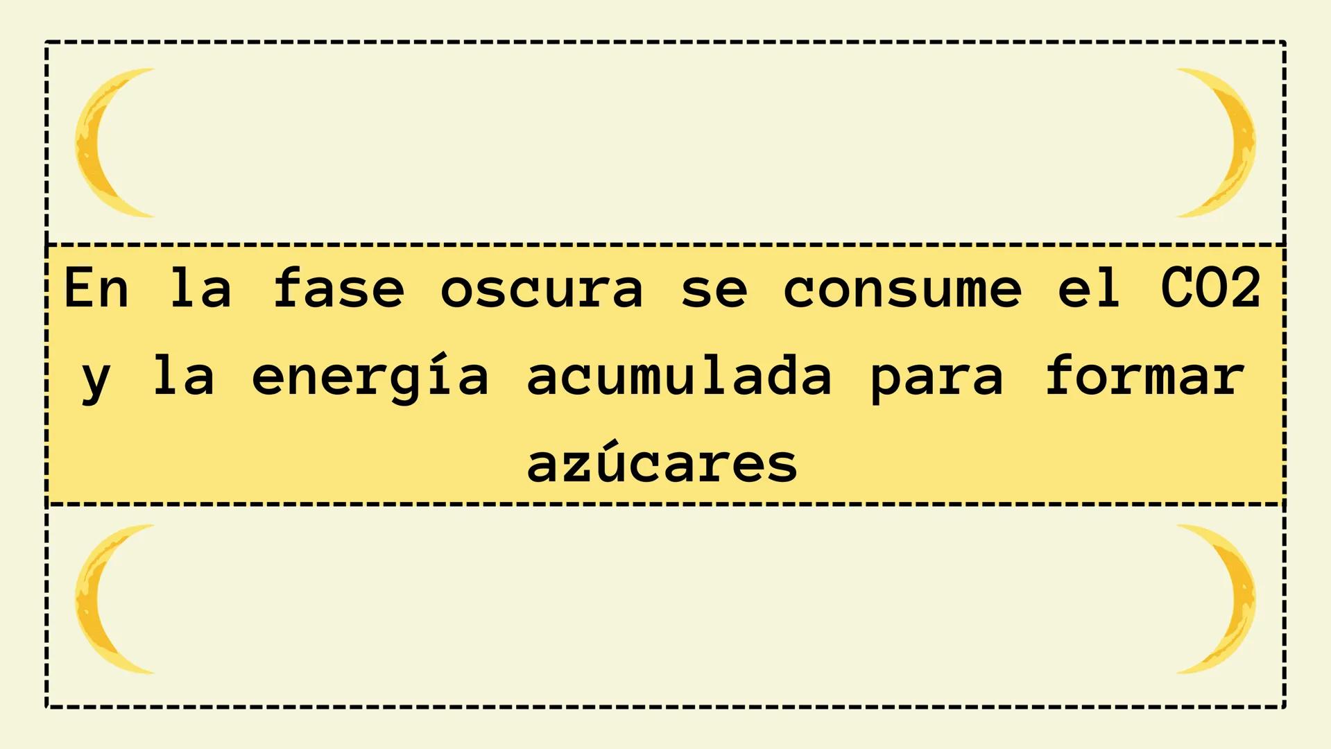 # FASE OSCURA
BIOLOGIA Temario:
1 Introducción
2 ¿Qué es la Fase Oscura?
3 ¿Dónde se lleva a cabo?
4 Palabras Clave
5 Fases del Ciclo