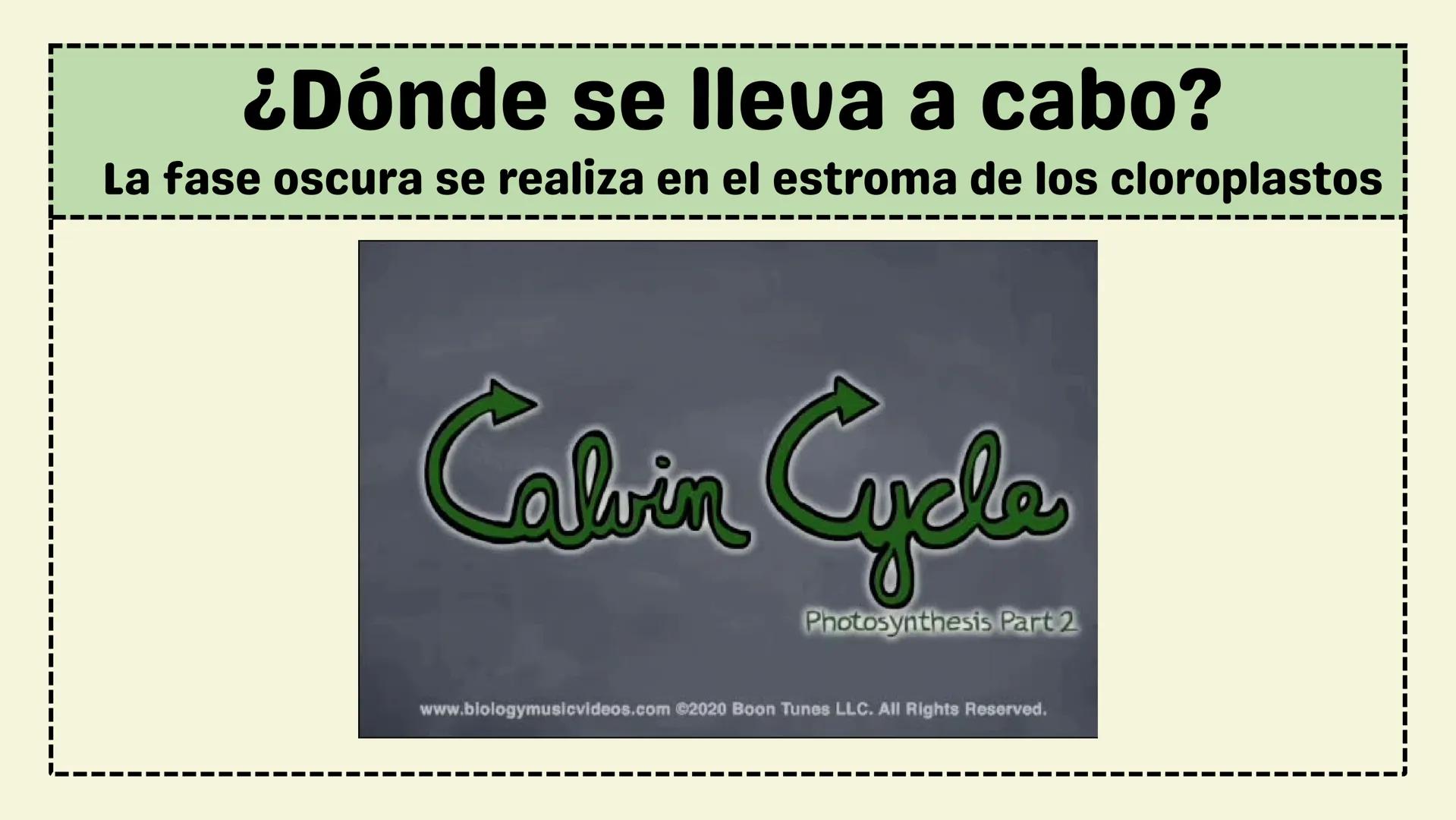 # FASE OSCURA
BIOLOGIA Temario:
1 Introducción
2 ¿Qué es la Fase Oscura?
3 ¿Dónde se lleva a cabo?
4 Palabras Clave
5 Fases del Ciclo
