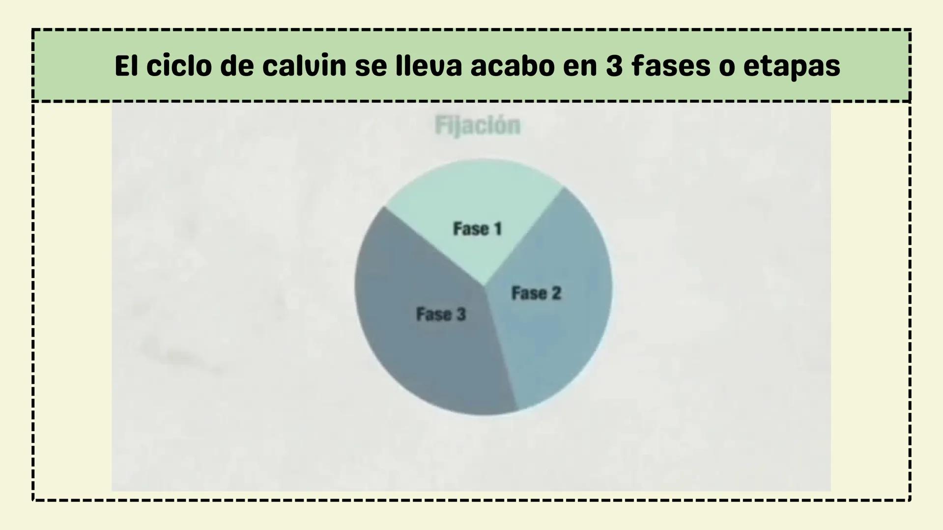 # FASE OSCURA
BIOLOGIA Temario:
1 Introducción
2 ¿Qué es la Fase Oscura?
3 ¿Dónde se lleva a cabo?
4 Palabras Clave
5 Fases del Ciclo