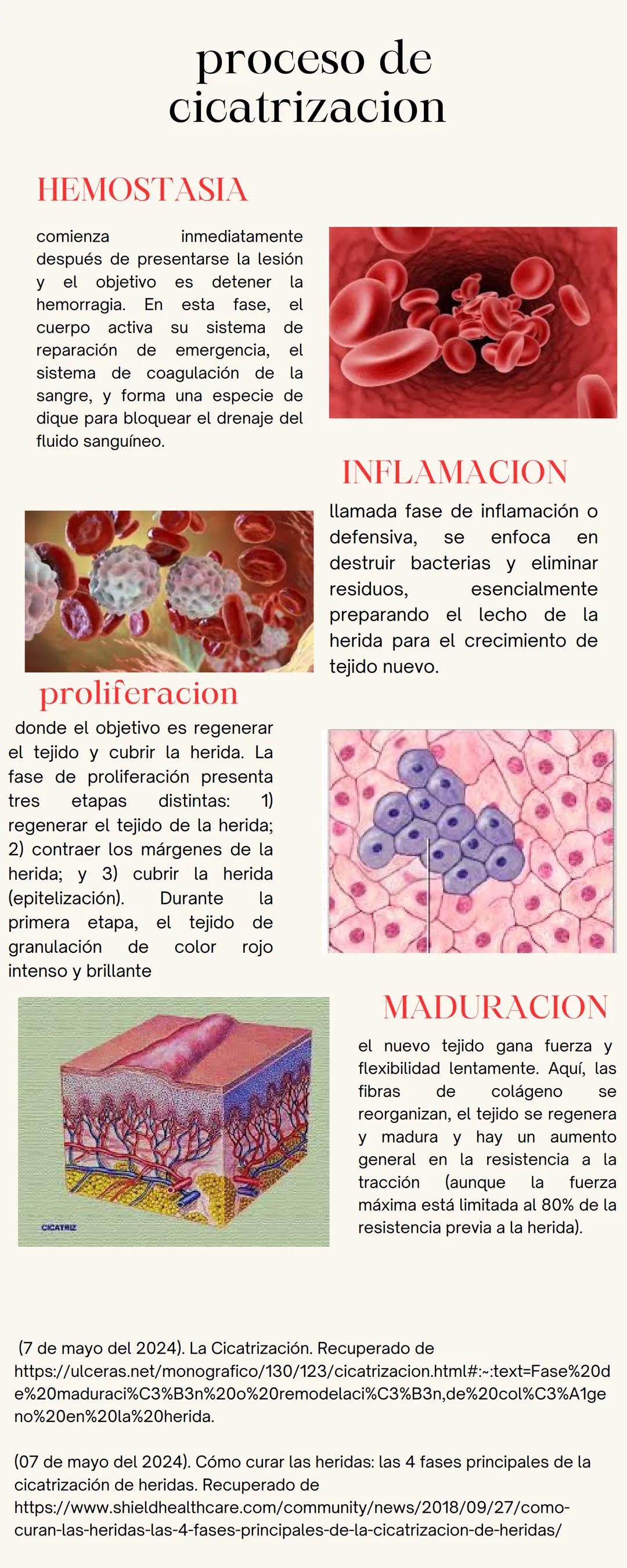 # proceso de
cicatrizacion
HEMOSTASIA
comienza inmediatamente
después de presentarse la lesión
y el objetivo es detener la
hemorragia. En
