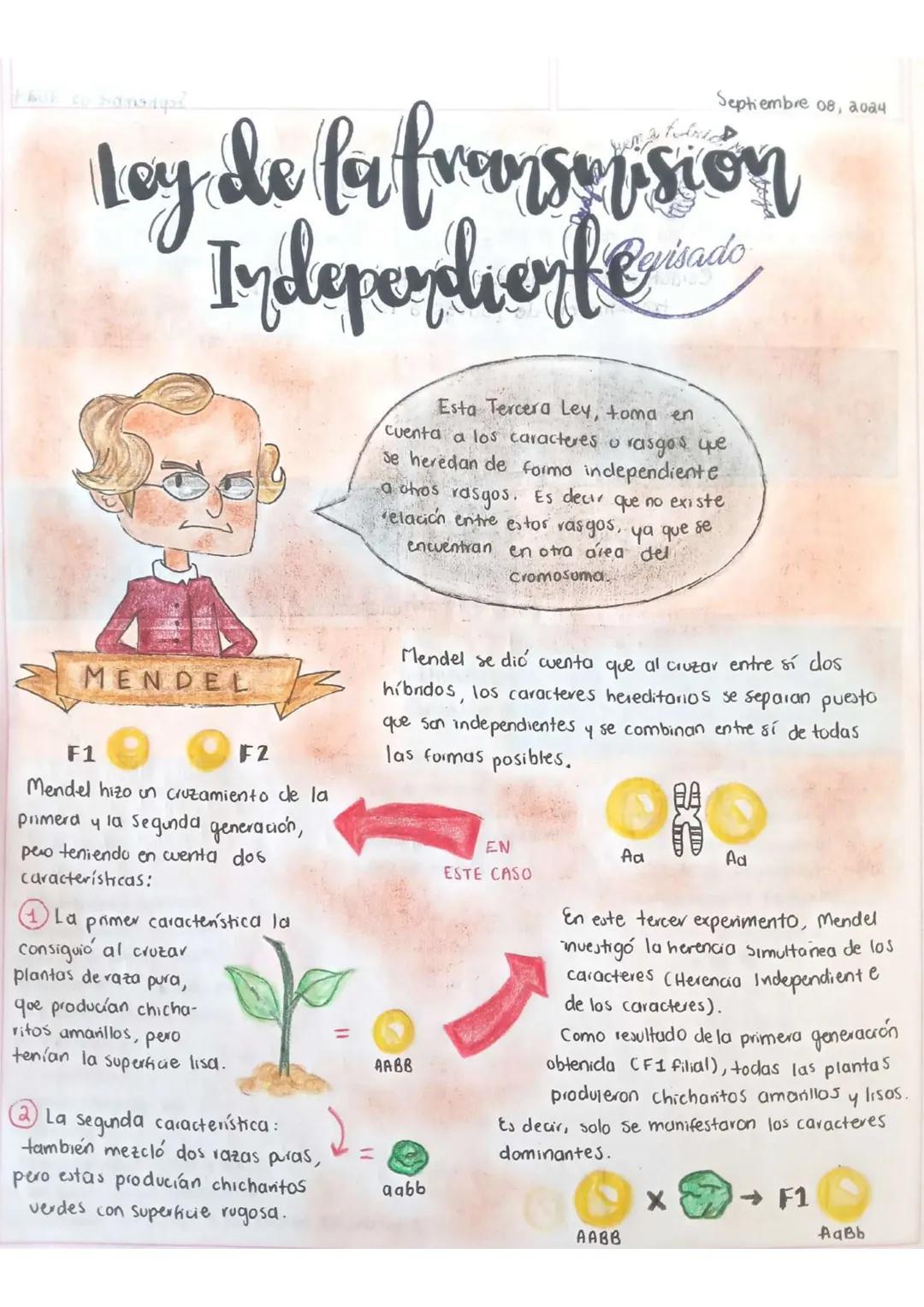 Septiembre 08, 2024
Loy de la freonsepsión
Indeperdienf
Reisado
Esta Tercera Ley, toma en
cuenta a los caracteres o rasgos que
se heredan
