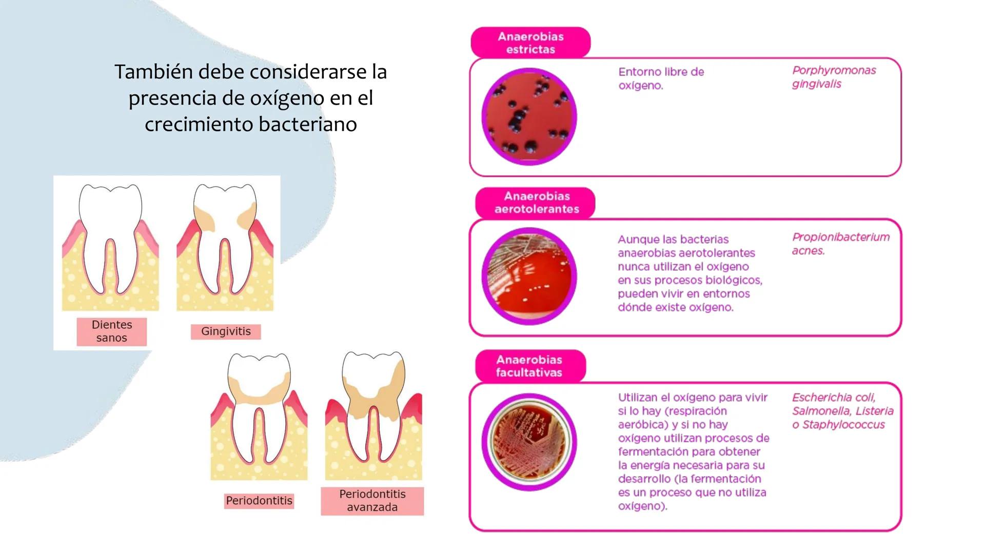 # Resistencia antimicrobiana y,
estructura y fisiología bacteriana Resistencia
antimicrobiana
Capacidad que tiene una bacteria
para sobrev