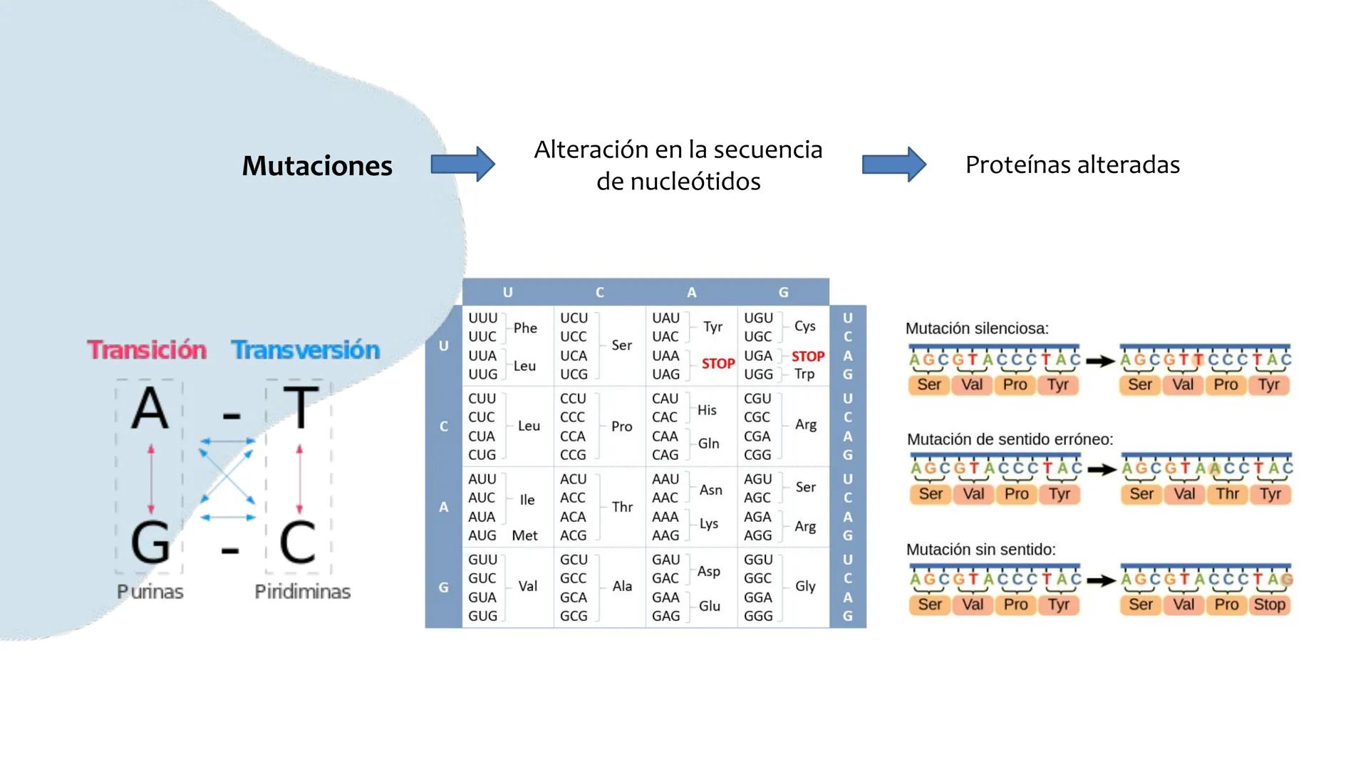 # Resistencia antimicrobiana y,
estructura y fisiología bacteriana Resistencia
antimicrobiana
Capacidad que tiene una bacteria
para sobrev