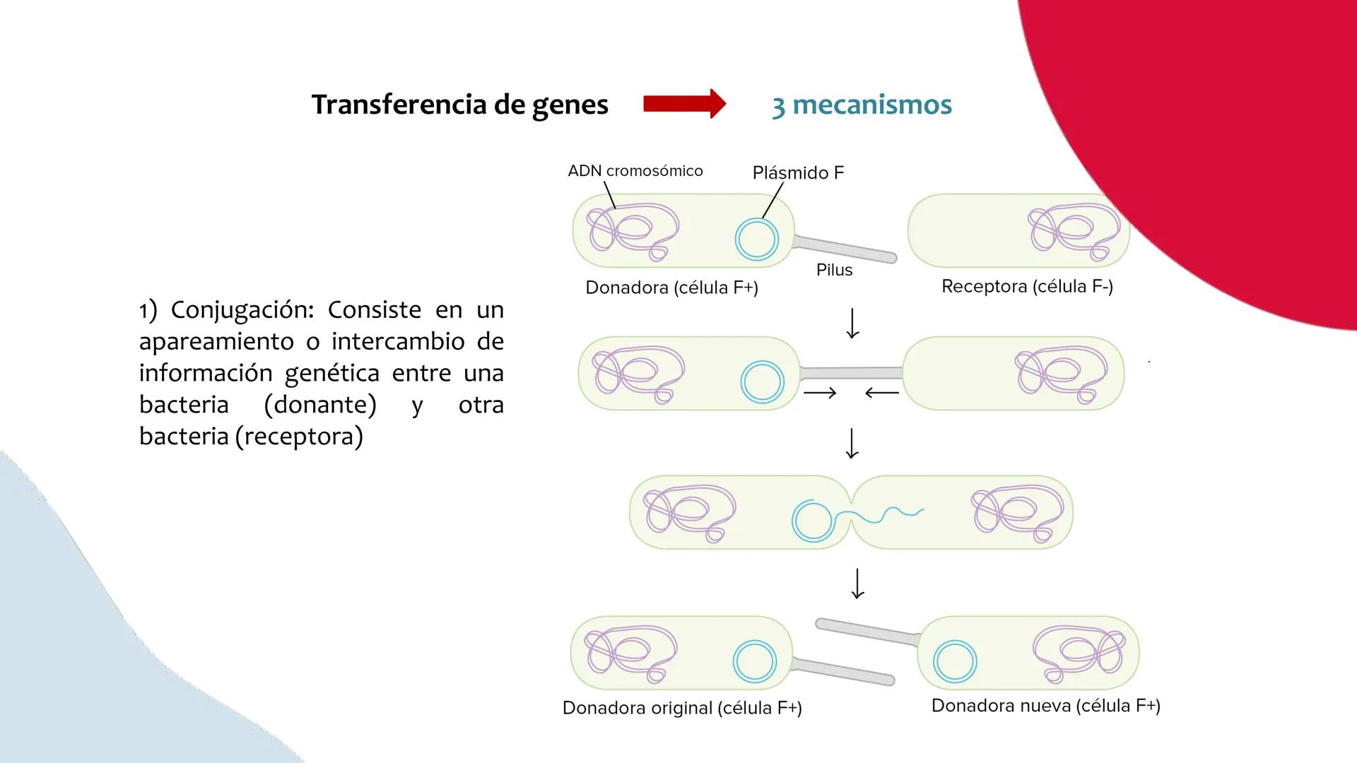 # Resistencia antimicrobiana y,
estructura y fisiología bacteriana Resistencia
antimicrobiana
Capacidad que tiene una bacteria
para sobrev