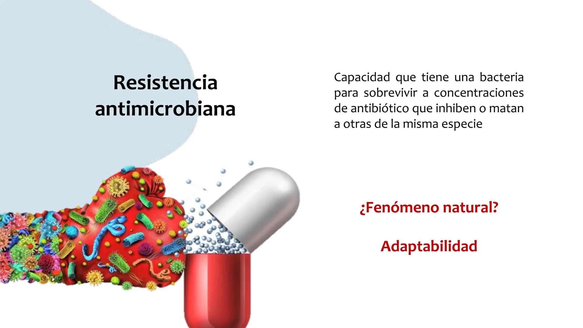 # Resistencia antimicrobiana y,
estructura y fisiología bacteriana Resistencia
antimicrobiana
Capacidad que tiene una bacteria
para sobrev