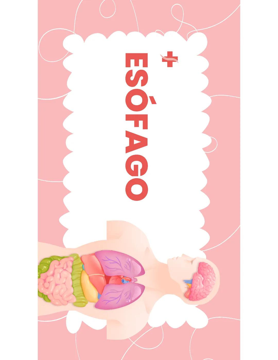 Esófago (Anatomía)
