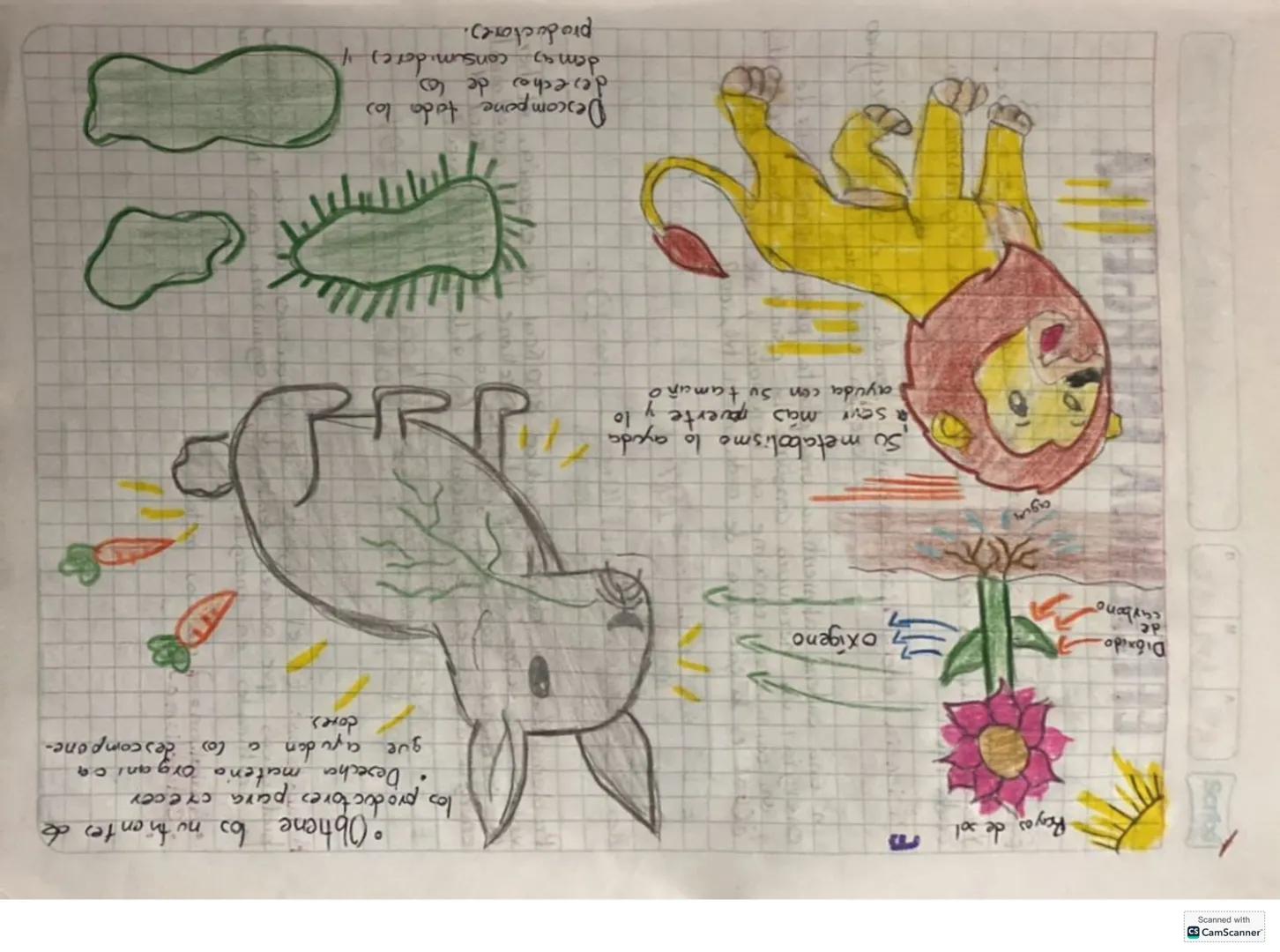 Descompo
nedores
"DESIERTO"
Productores
Consumido-
Yes.
Consumido
ves secu-
hdarios.
Consum
Idores
$3^{ciarios}$
Scanned with
CamScan