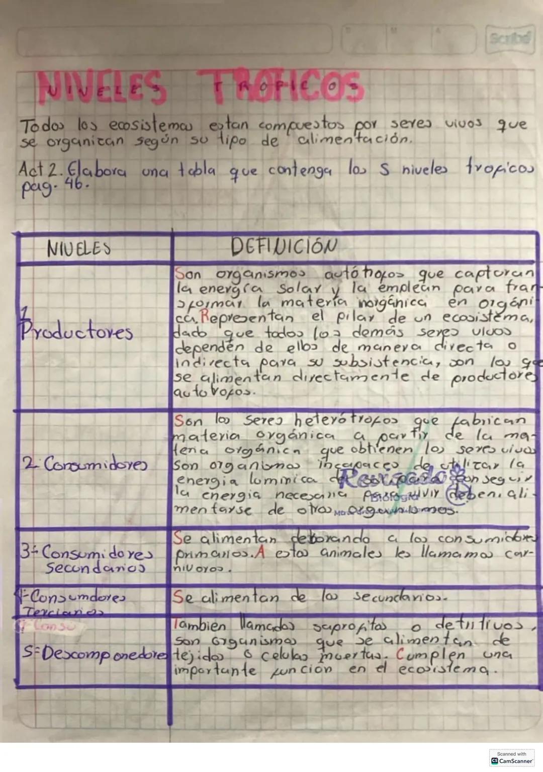 Descompo
nedores
"DESIERTO"
Productores
Consumido-
Yes.
Consumido
ves secu-
hdarios.
Consum
Idores
$3^{ciarios}$
Scanned with
CamScan