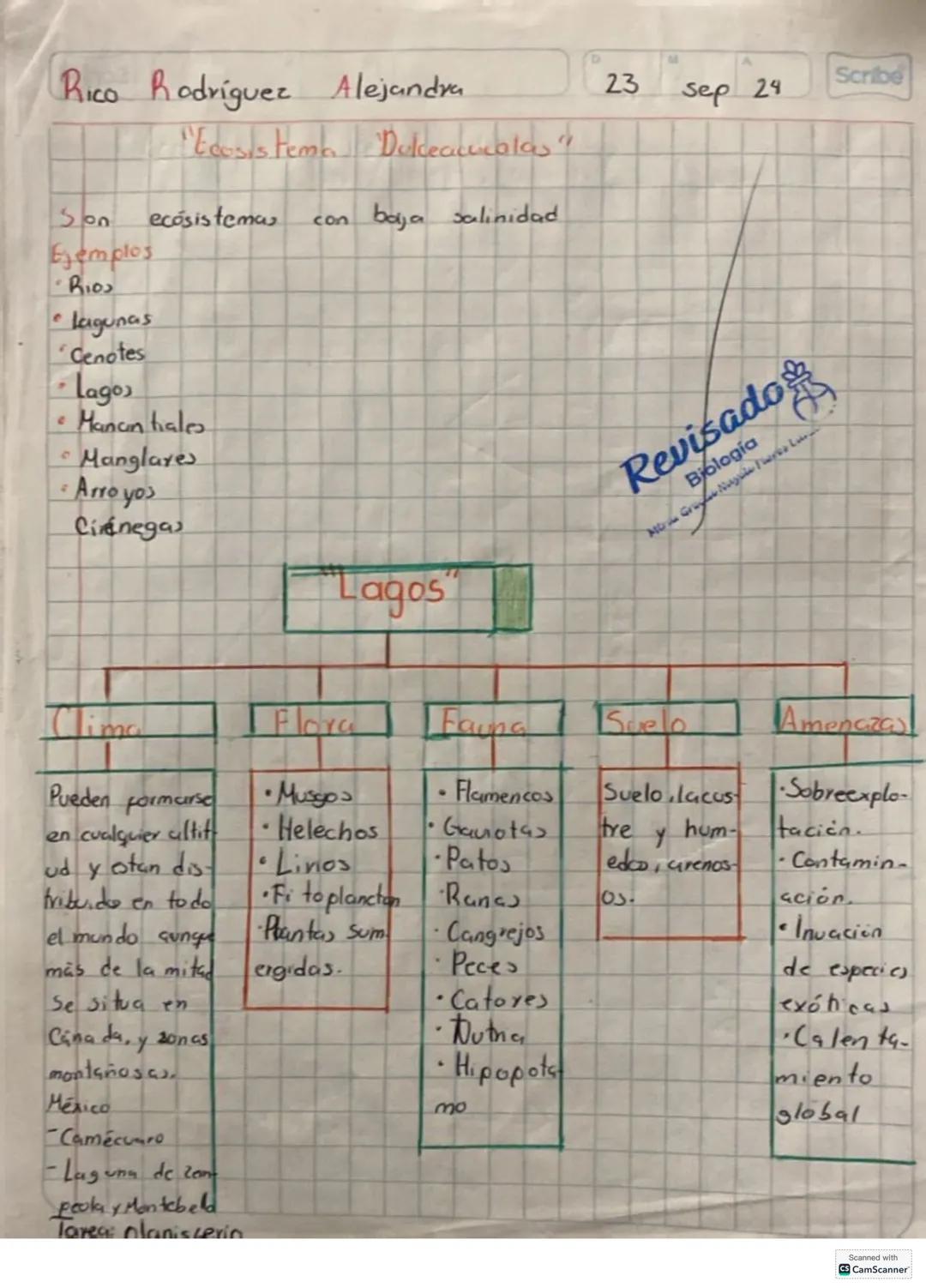 Descompo
nedores
"DESIERTO"
Productores
Consumido-
Yes.
Consumido
ves secu-
hdarios.
Consum
Idores
$3^{ciarios}$
Scanned with
CamScan
