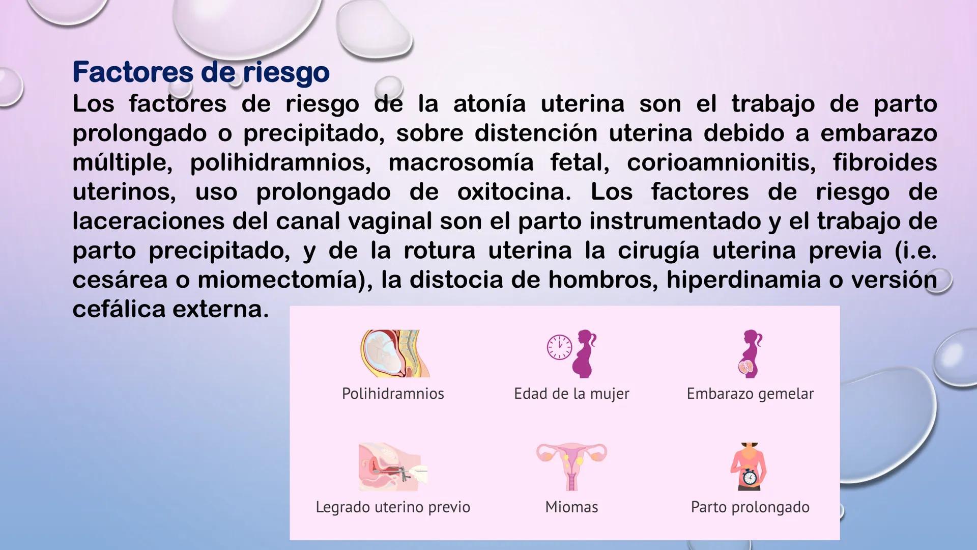TERCER TRIMESTRE DEL
EMBARAZO
Crecimiento del Feto de
las 8 a las 40 Semanas
Embrión Feto a 16 20 24 28 32 36 40
a las 8 las 12
Semanas Se