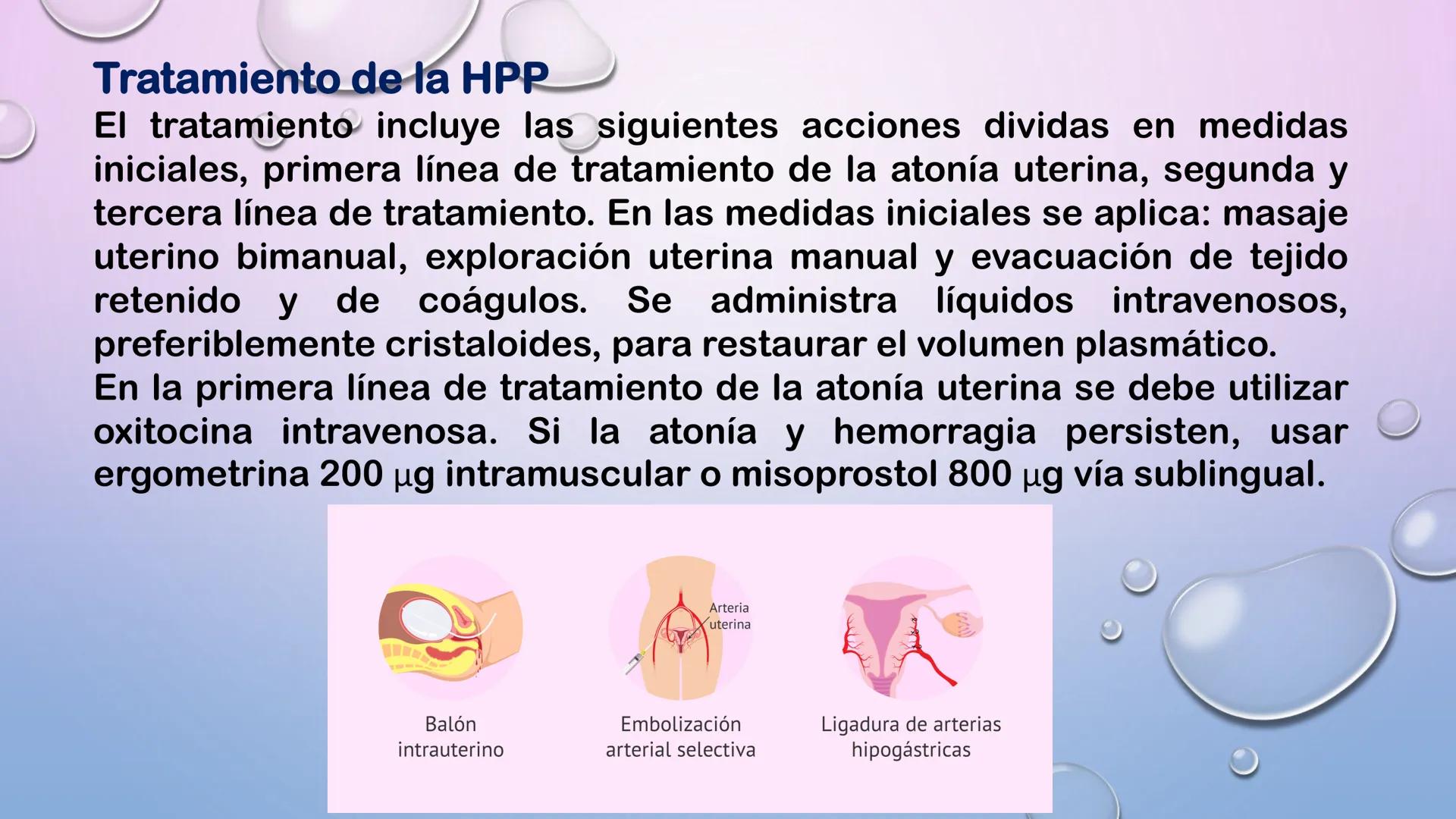 TERCER TRIMESTRE DEL
EMBARAZO
Crecimiento del Feto de
las 8 a las 40 Semanas
Embrión Feto a 16 20 24 28 32 36 40
a las 8 las 12
Semanas Se