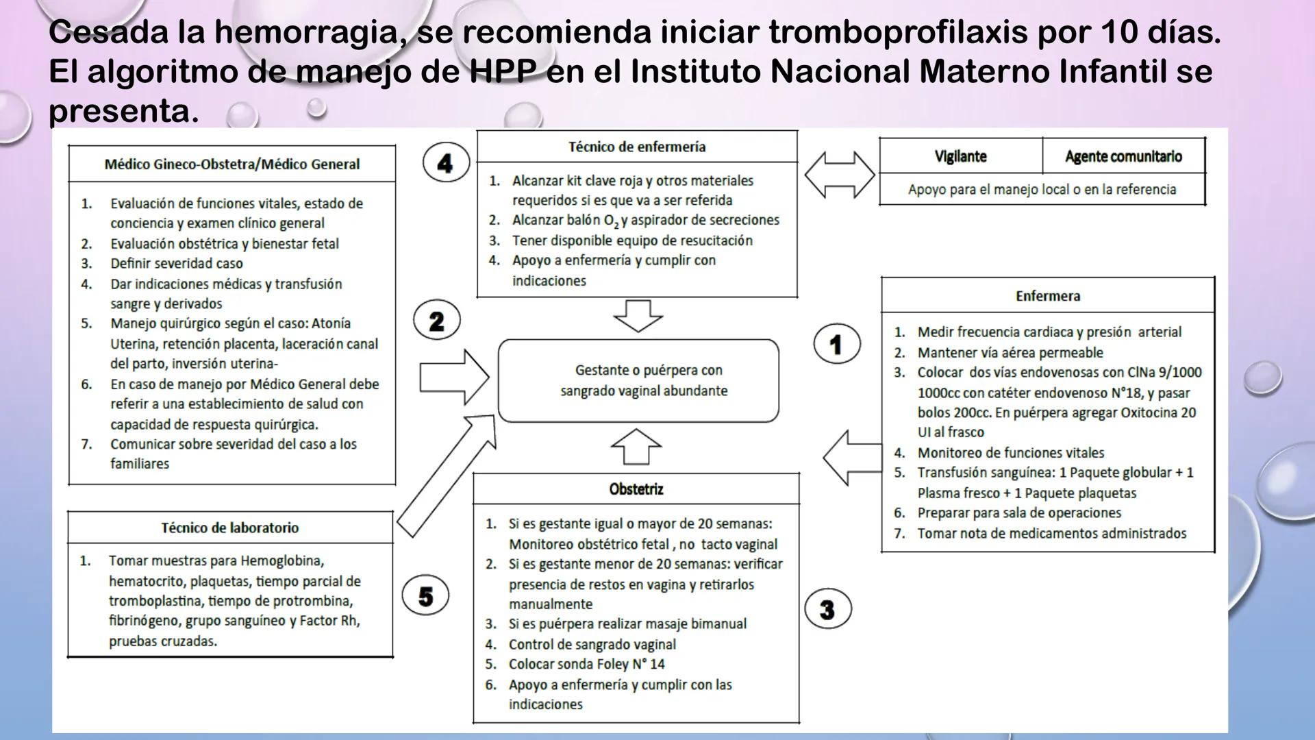 TERCER TRIMESTRE DEL
EMBARAZO
Crecimiento del Feto de
las 8 a las 40 Semanas
Embrión Feto a 16 20 24 28 32 36 40
a las 8 las 12
Semanas Se