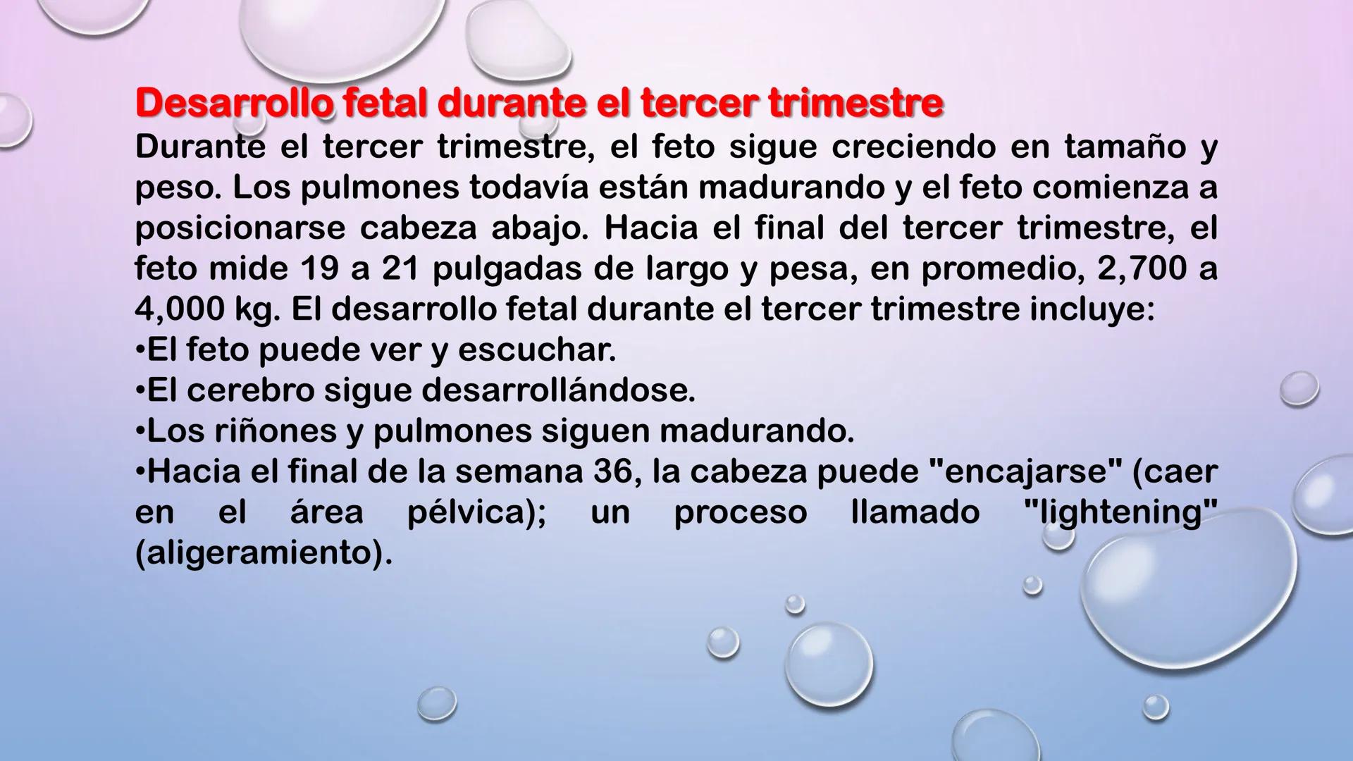 TERCER TRIMESTRE DEL
EMBARAZO
Crecimiento del Feto de
las 8 a las 40 Semanas
Embrión Feto a 16 20 24 28 32 36 40
a las 8 las 12
Semanas Se