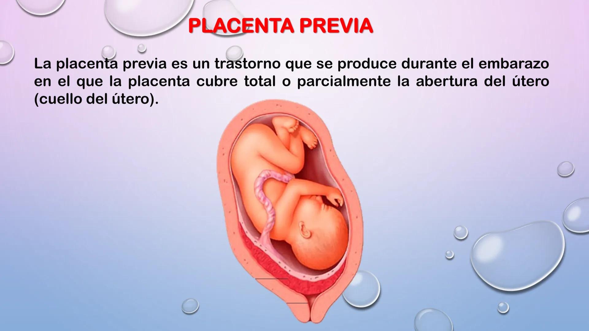 TERCER TRIMESTRE DEL
EMBARAZO
Crecimiento del Feto de
las 8 a las 40 Semanas
Embrión Feto a 16 20 24 28 32 36 40
a las 8 las 12
Semanas Se