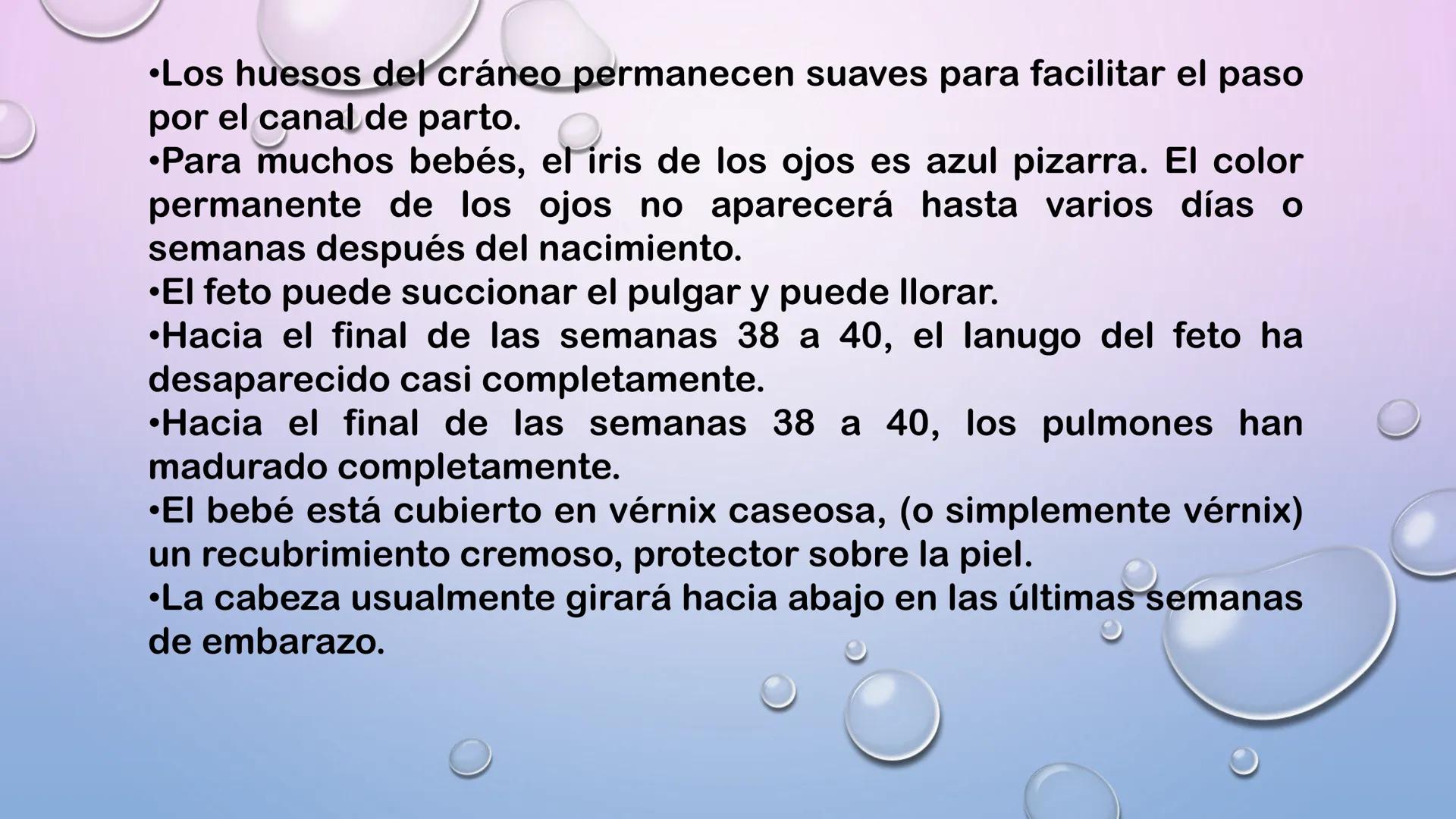 TERCER TRIMESTRE DEL
EMBARAZO
Crecimiento del Feto de
las 8 a las 40 Semanas
Embrión Feto a 16 20 24 28 32 36 40
a las 8 las 12
Semanas Se