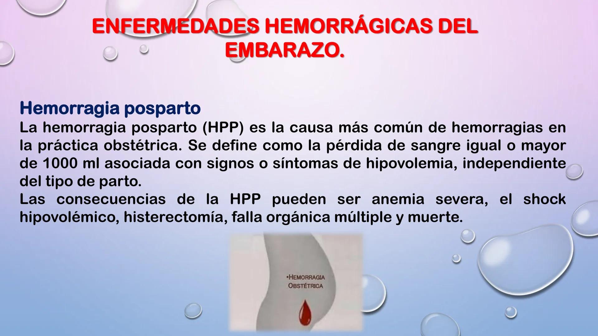 TERCER TRIMESTRE DEL
EMBARAZO
Crecimiento del Feto de
las 8 a las 40 Semanas
Embrión Feto a 16 20 24 28 32 36 40
a las 8 las 12
Semanas Se