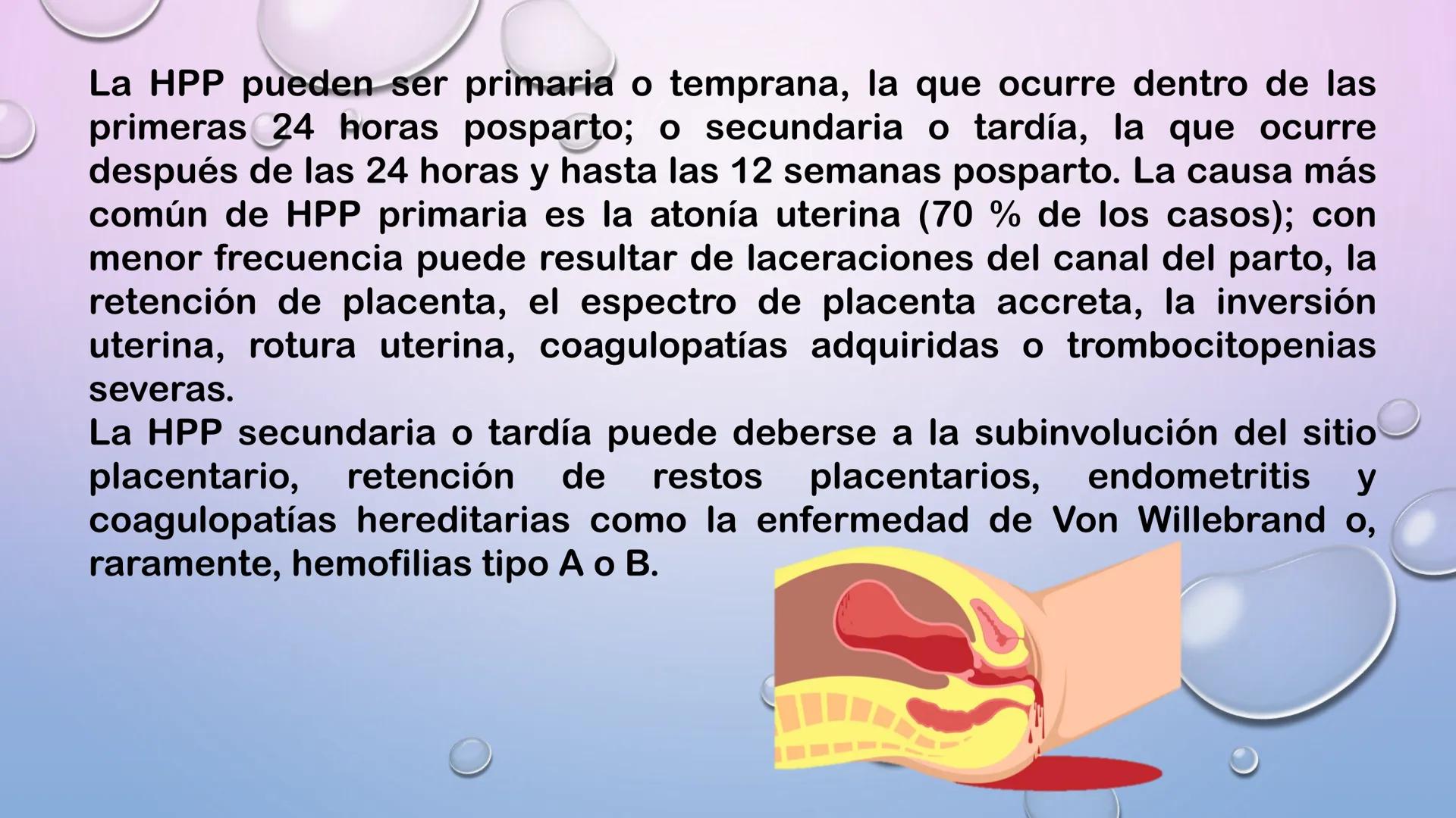 TERCER TRIMESTRE DEL
EMBARAZO
Crecimiento del Feto de
las 8 a las 40 Semanas
Embrión Feto a 16 20 24 28 32 36 40
a las 8 las 12
Semanas Se