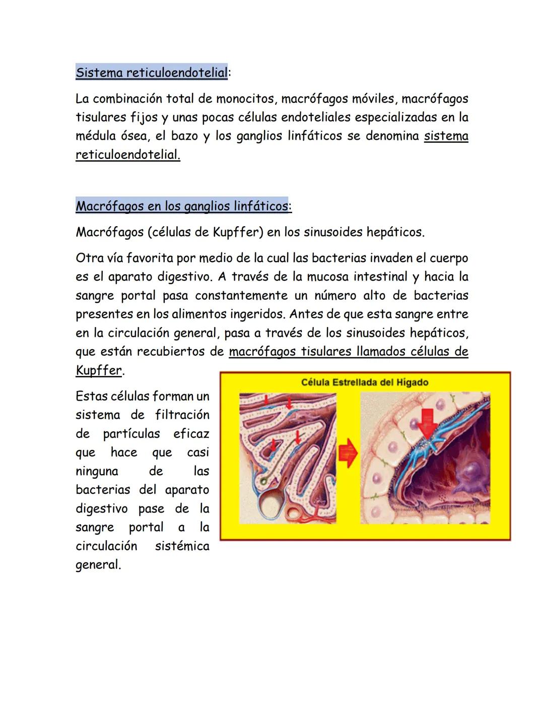 # Leucocitos
Nuestro organismo tiene un sistema especial para combatir los
diferentes microorganismos infecciosos y sustancias toxicas. Est