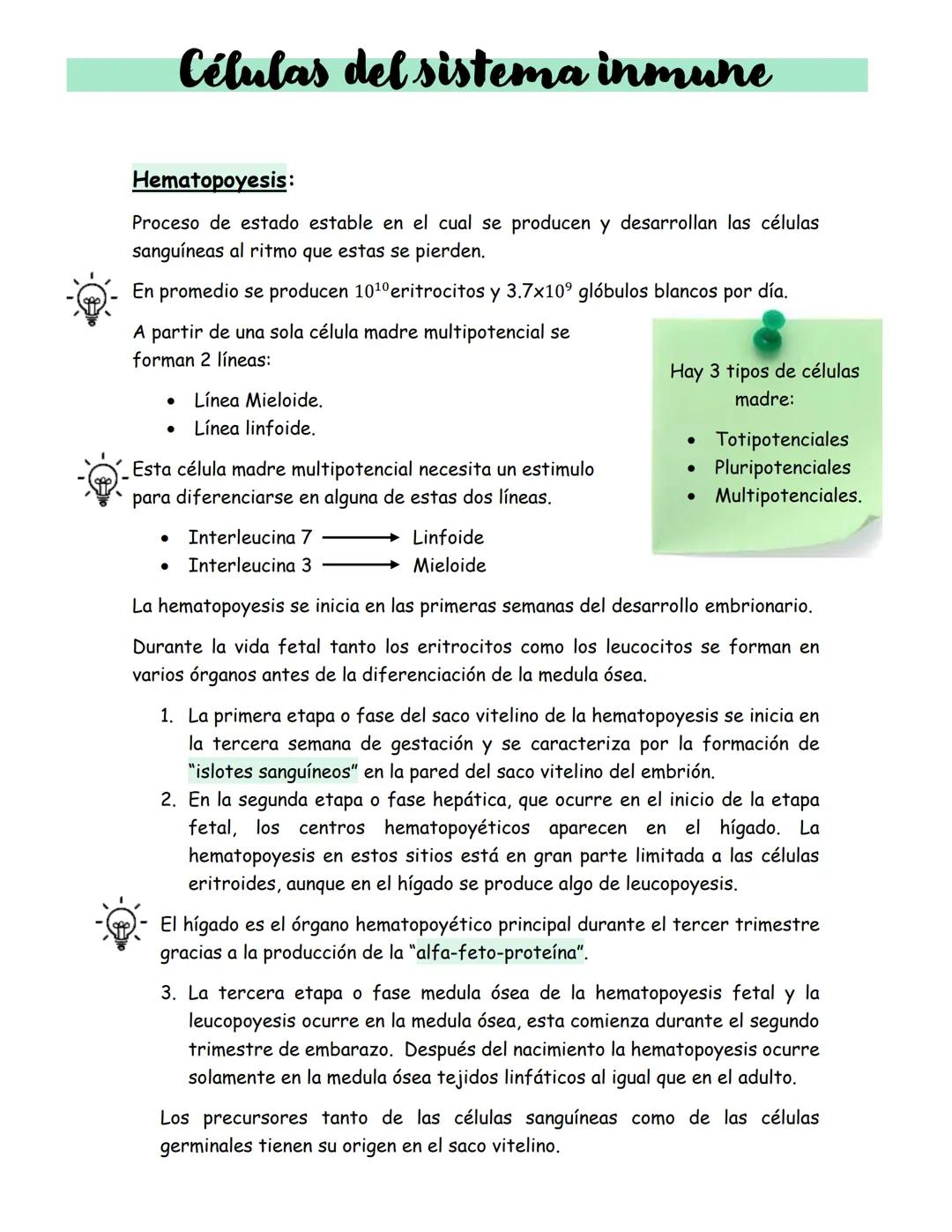 # Células del sistema inmune
## Hematopoyesis:
Proceso de estado estable en el cual se producen y desarrollan las células
sanguíneas al ri