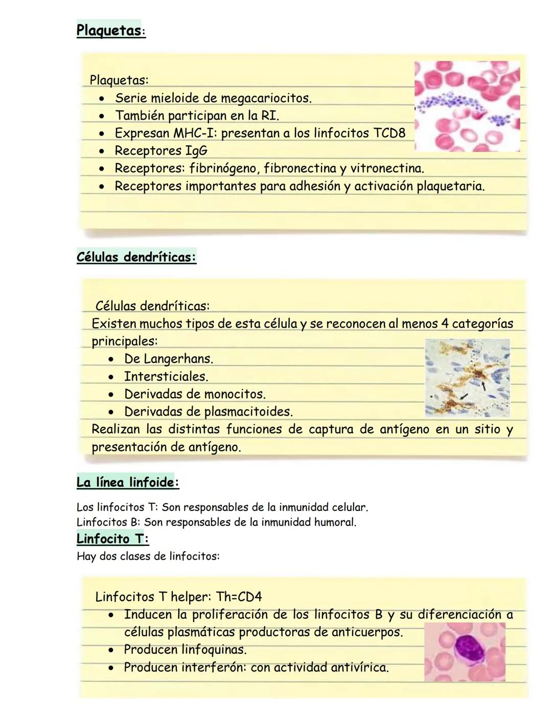 # Células del sistema inmune
## Hematopoyesis:
Proceso de estado estable en el cual se producen y desarrollan las células
sanguíneas al ri