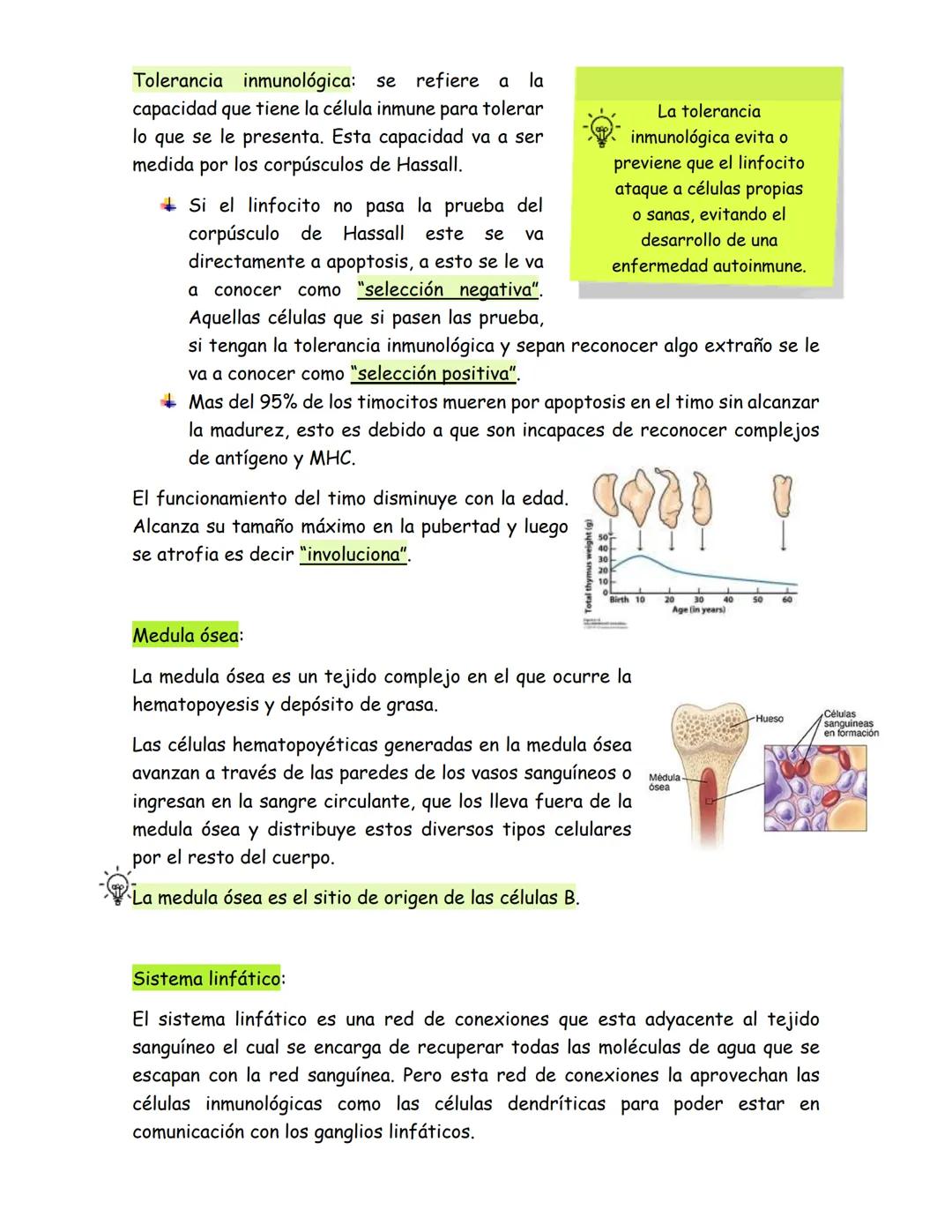 # Órganos del sistema inmune
Los órganos del sistema inmune se dividen en 2:
- Órganos linfoides primarios, donde se generan las células d