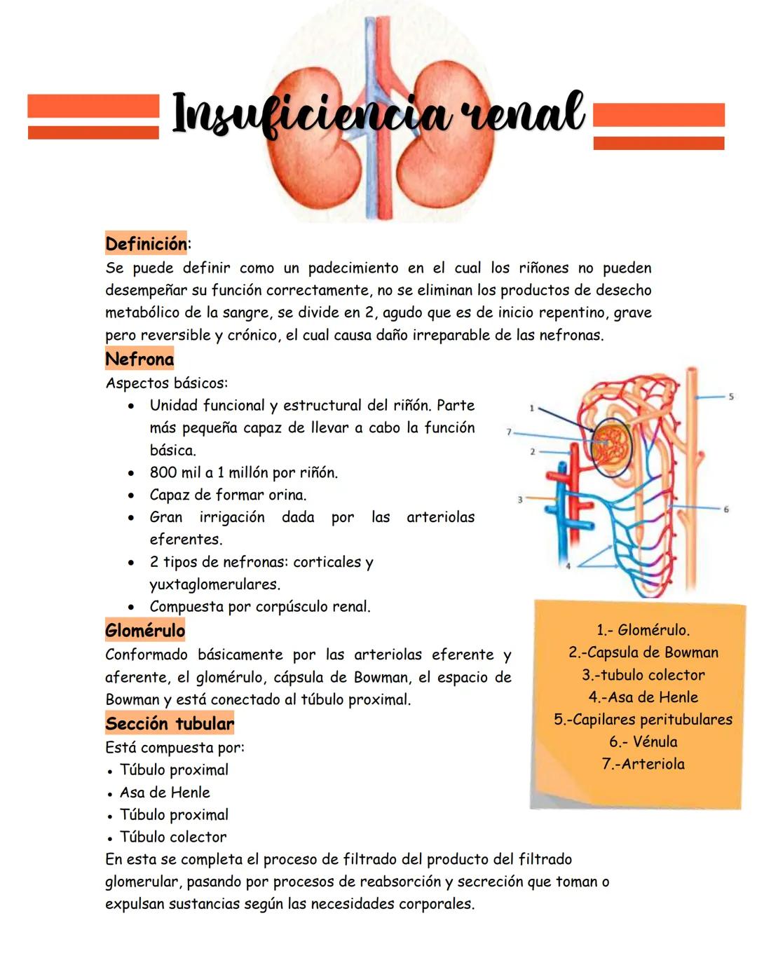 # Insuficiencia renal
Definición:
Se puede definir como un padecimiento en el cual los riñones no pueden
desempeñar su función correctamen