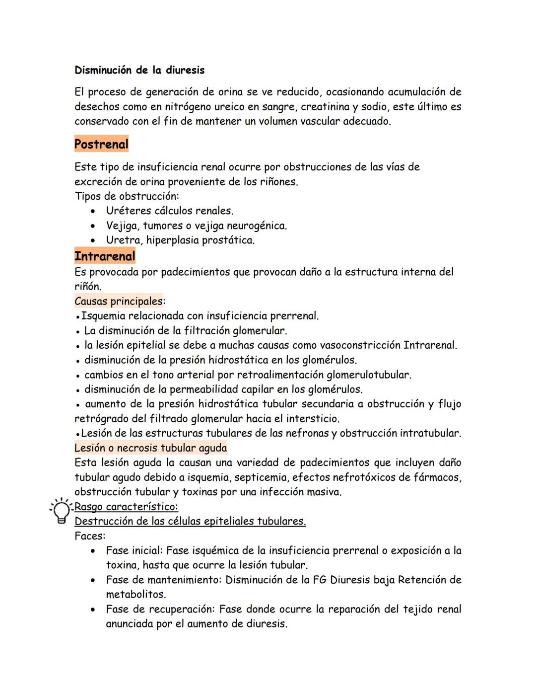 # Insuficiencia renal
Definición:
Se puede definir como un padecimiento en el cual los riñones no pueden
desempeñar su función correctamen