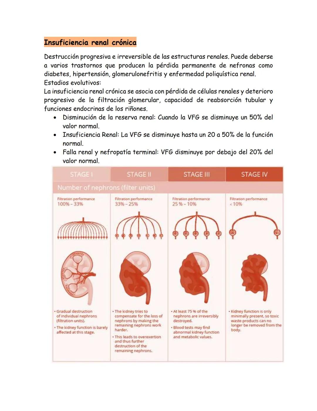 # Insuficiencia renal
Definición:
Se puede definir como un padecimiento en el cual los riñones no pueden
desempeñar su función correctamen