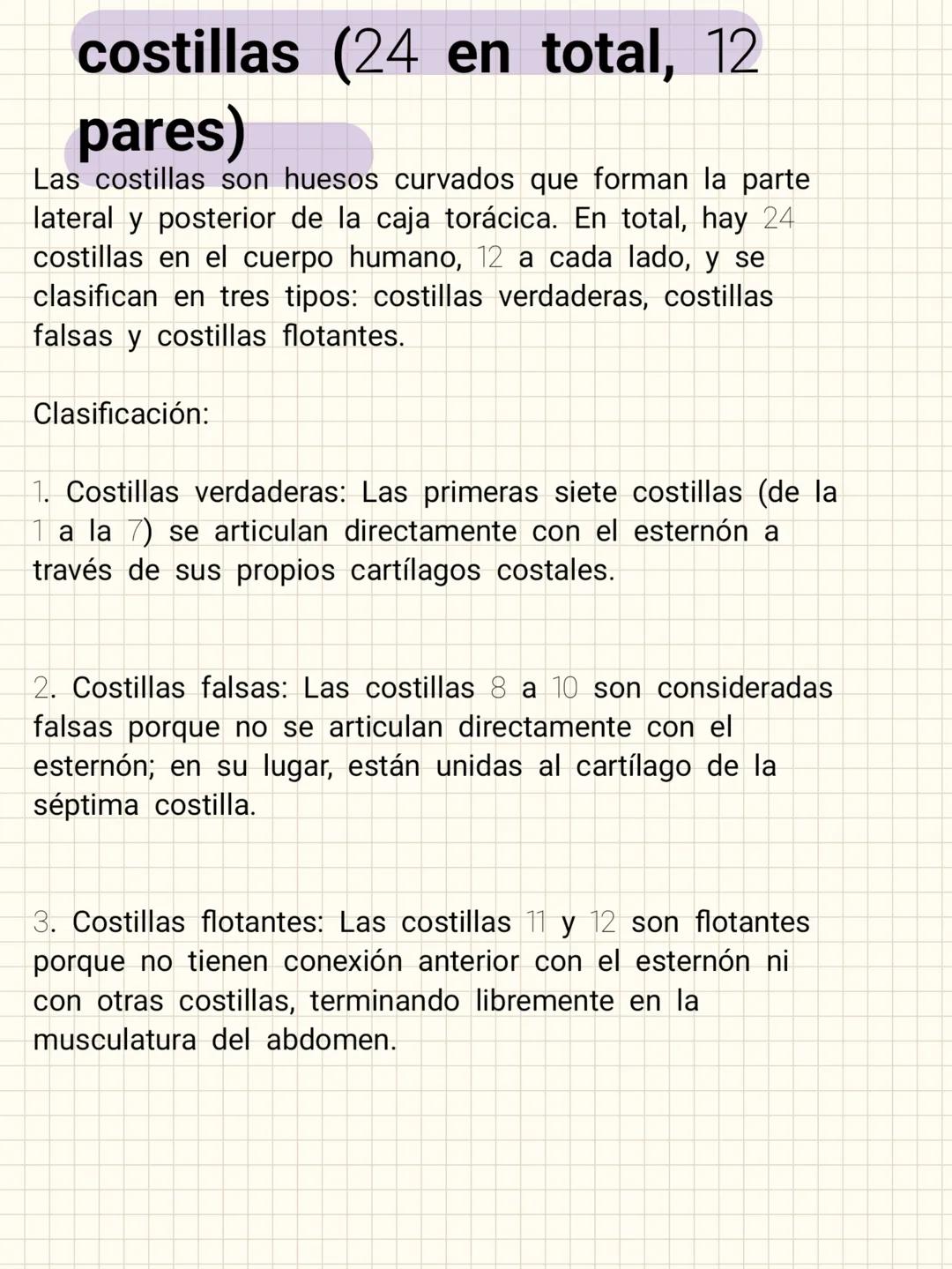 # costillas (24 en total, 12
pares)
Las costillas son huesos curvados que forman la parte
lateral y posterior de la caja torácica. En total,