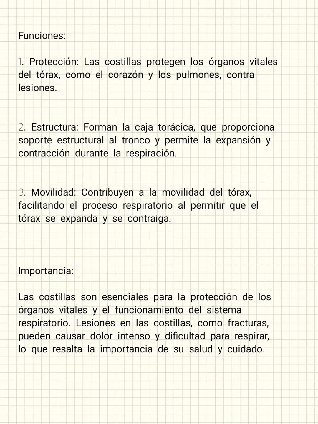 # costillas (24 en total, 12
pares)
Las costillas son huesos curvados que forman la parte
lateral y posterior de la caja torácica. En total,
