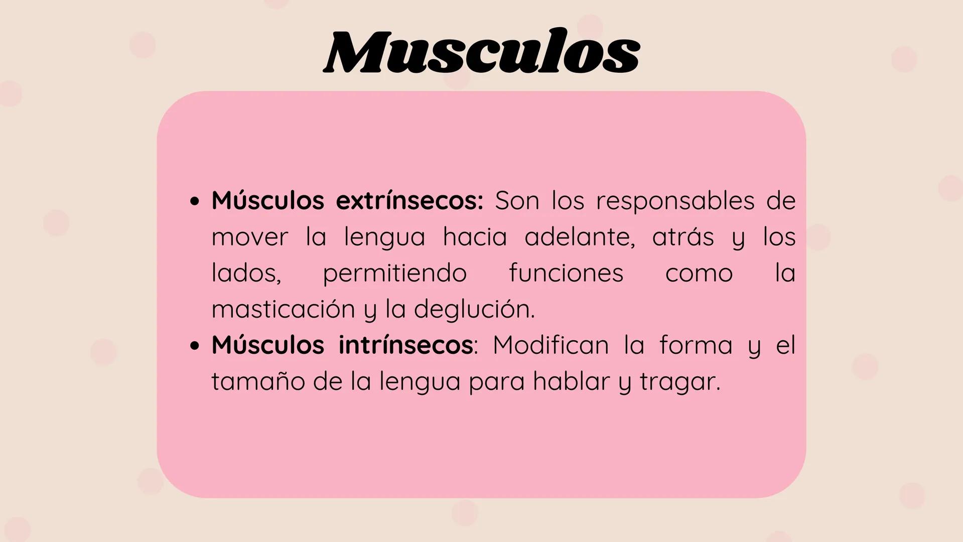 # LENGUA # INTRODUCCIÓN
La lengua es un órgano digestivo accesorio formado por músculo esquelético
cubierto de mucosa. Junto con sus múscul
