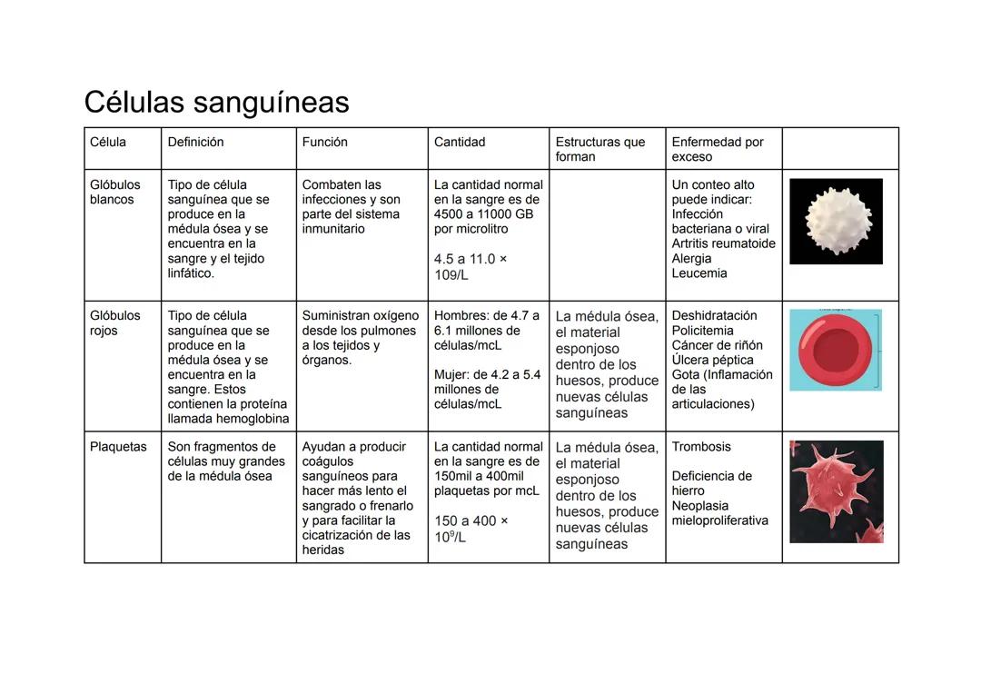 Células sanguíneas