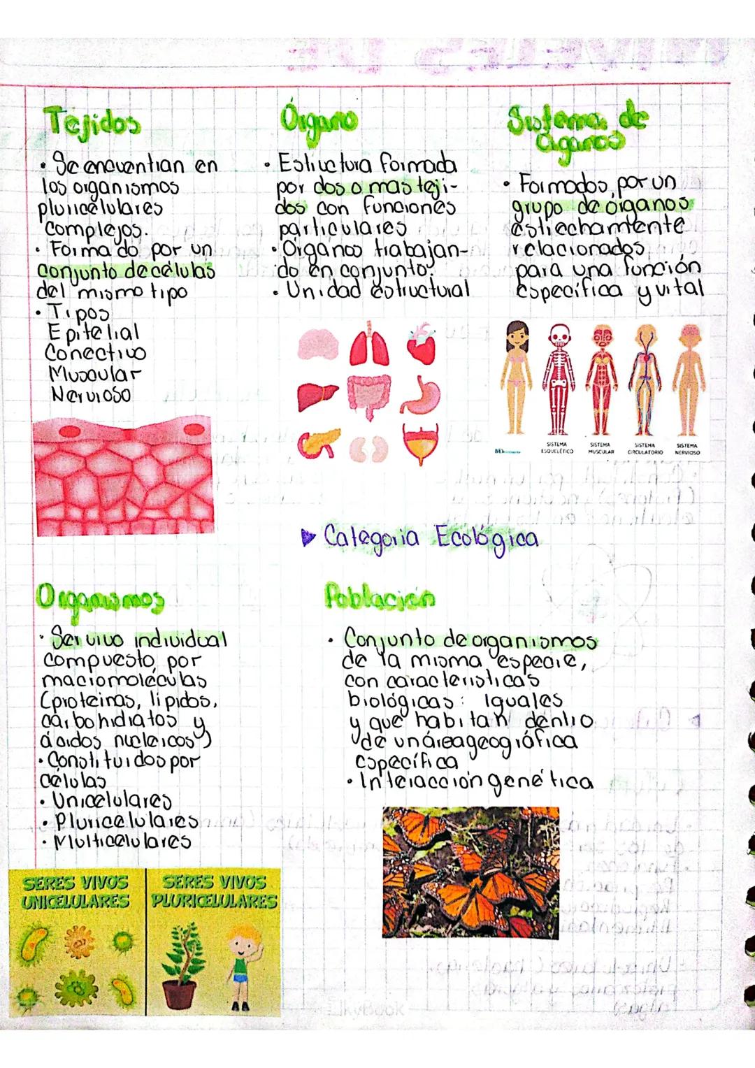 NIVELES DE
¿Qué es?
ORGANIZACIÓN
la organización de la vida es compleja por lo que para
comprender mejor la Biología se ha jerarquizado en