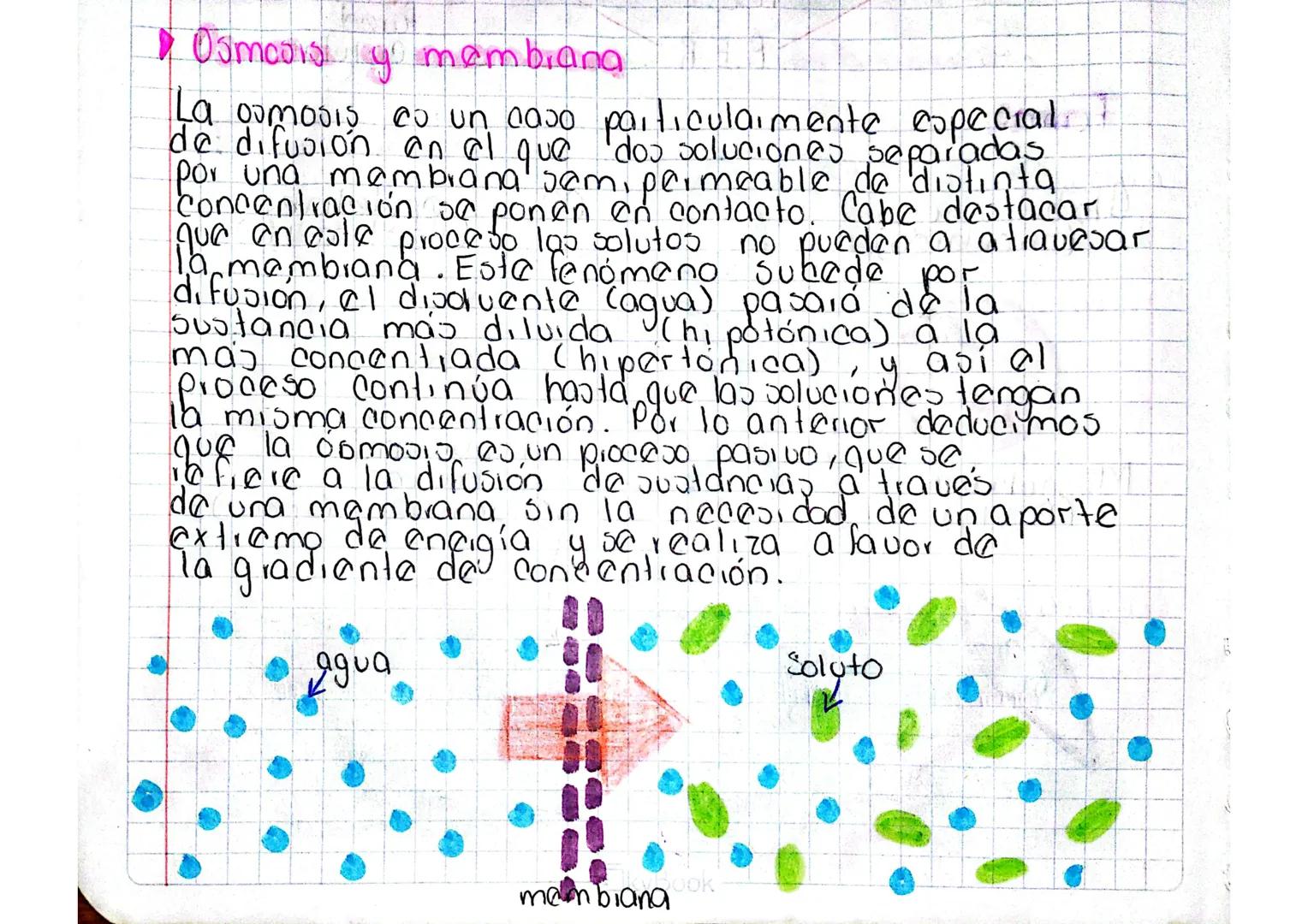 # MIEMBRANA Cell
¿Qué co?
- Envoltura continua que
lodea a la célula y la
separa de su entorno
- Bicapa lipídica, de
Proteínas y glúcidos