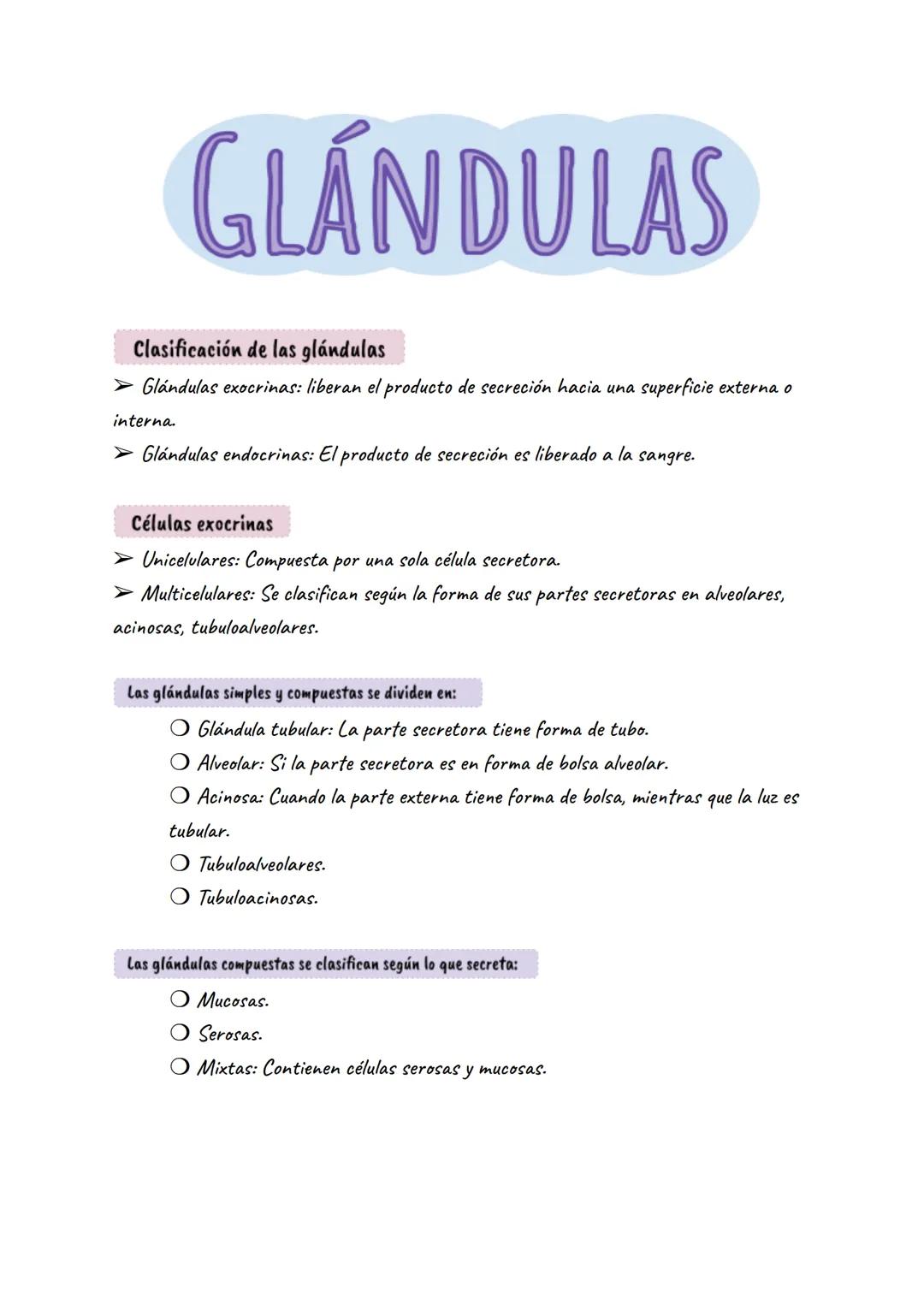 # GLÁNDULAS
Clasificación de las glándulas
➤ Glándulas exocrinas: liberan el producto de secreción hacia una superficie externa o
interna.