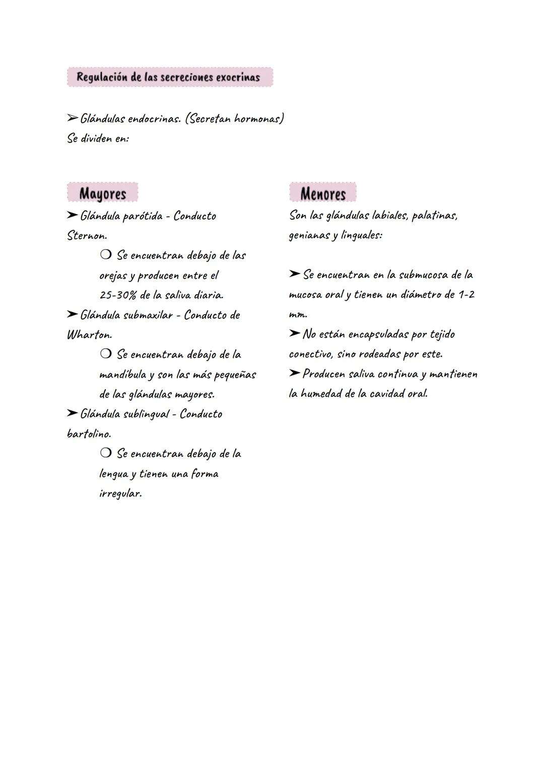 # GLÁNDULAS
Clasificación de las glándulas
➤ Glándulas exocrinas: liberan el producto de secreción hacia una superficie externa o
interna.